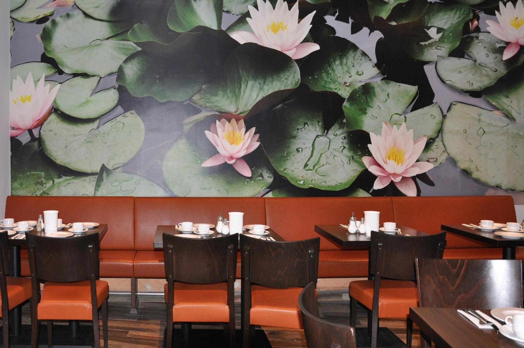 Maeuerle Hotel Lindau (Bodensee)