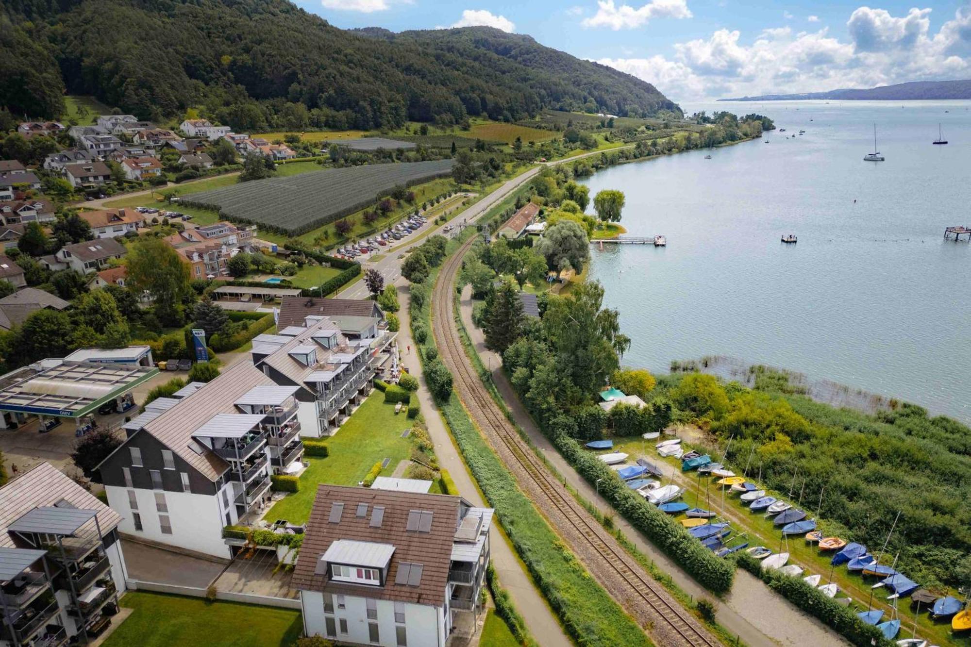 Rosmarin 3* Bodman-Ludwigshafen