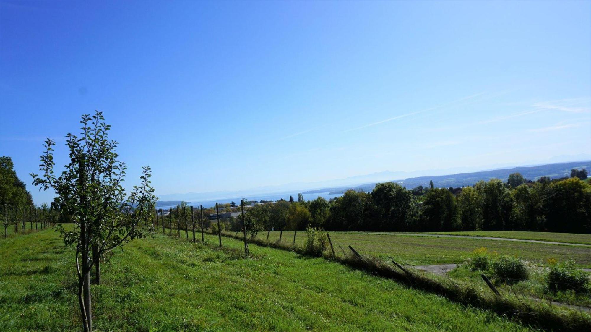 Holiday home Spetzgart *