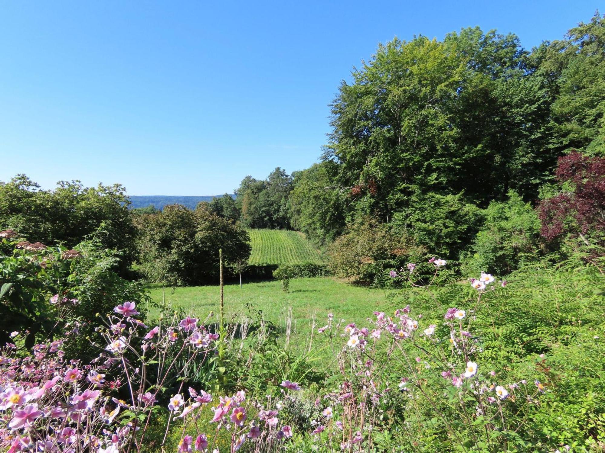 Spetzgart Holiday home Uberlingen