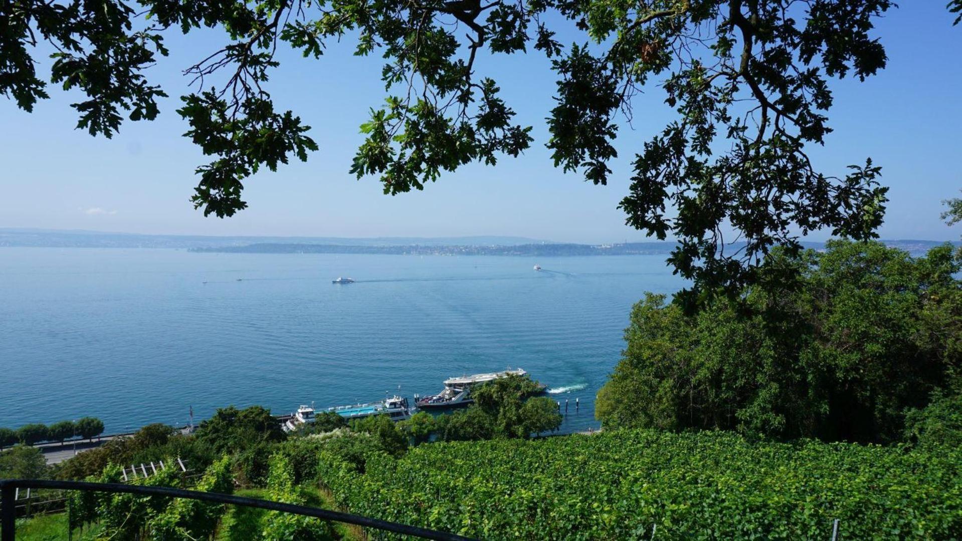 Weitsicht * Meersburg