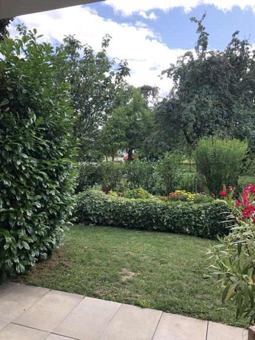 Naehe Bodensee Apartment