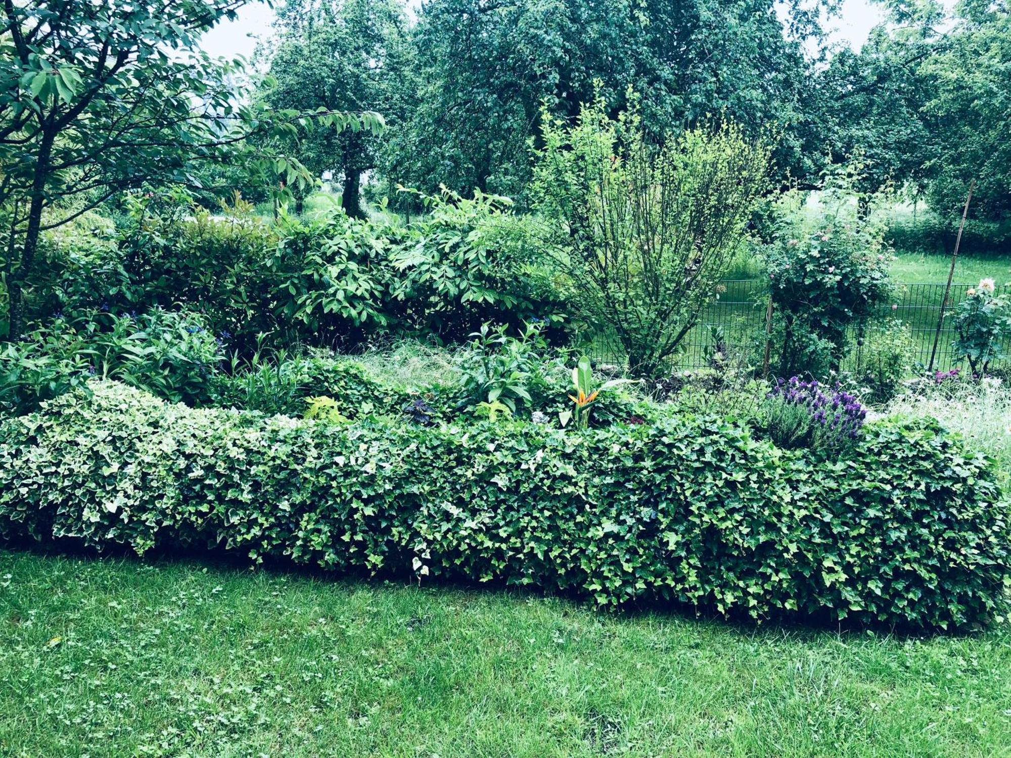 Apartment Naehe Bodensee