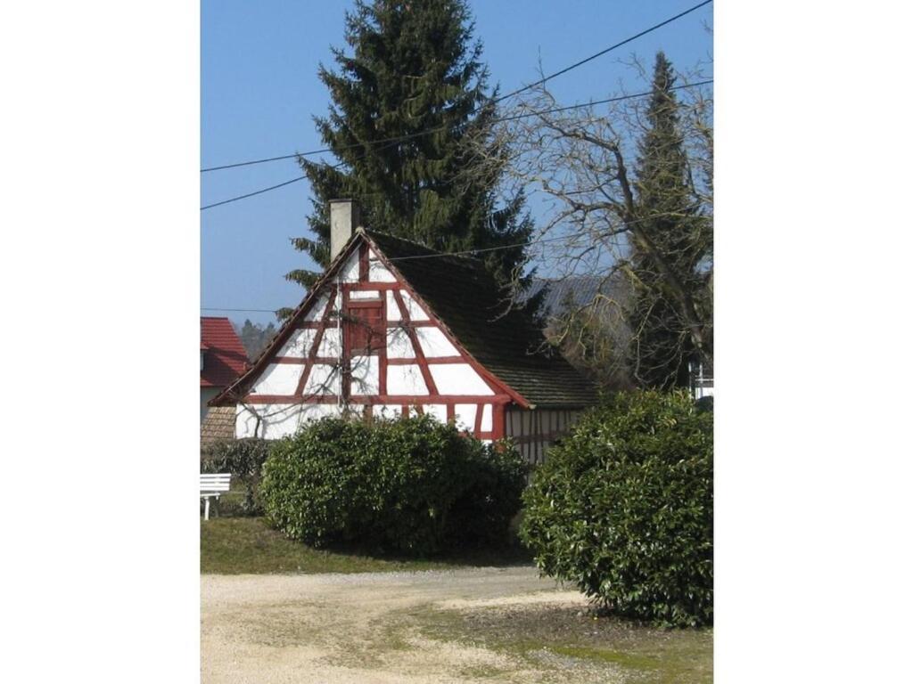 Holiday home Beech Modern Retreat Hodingen