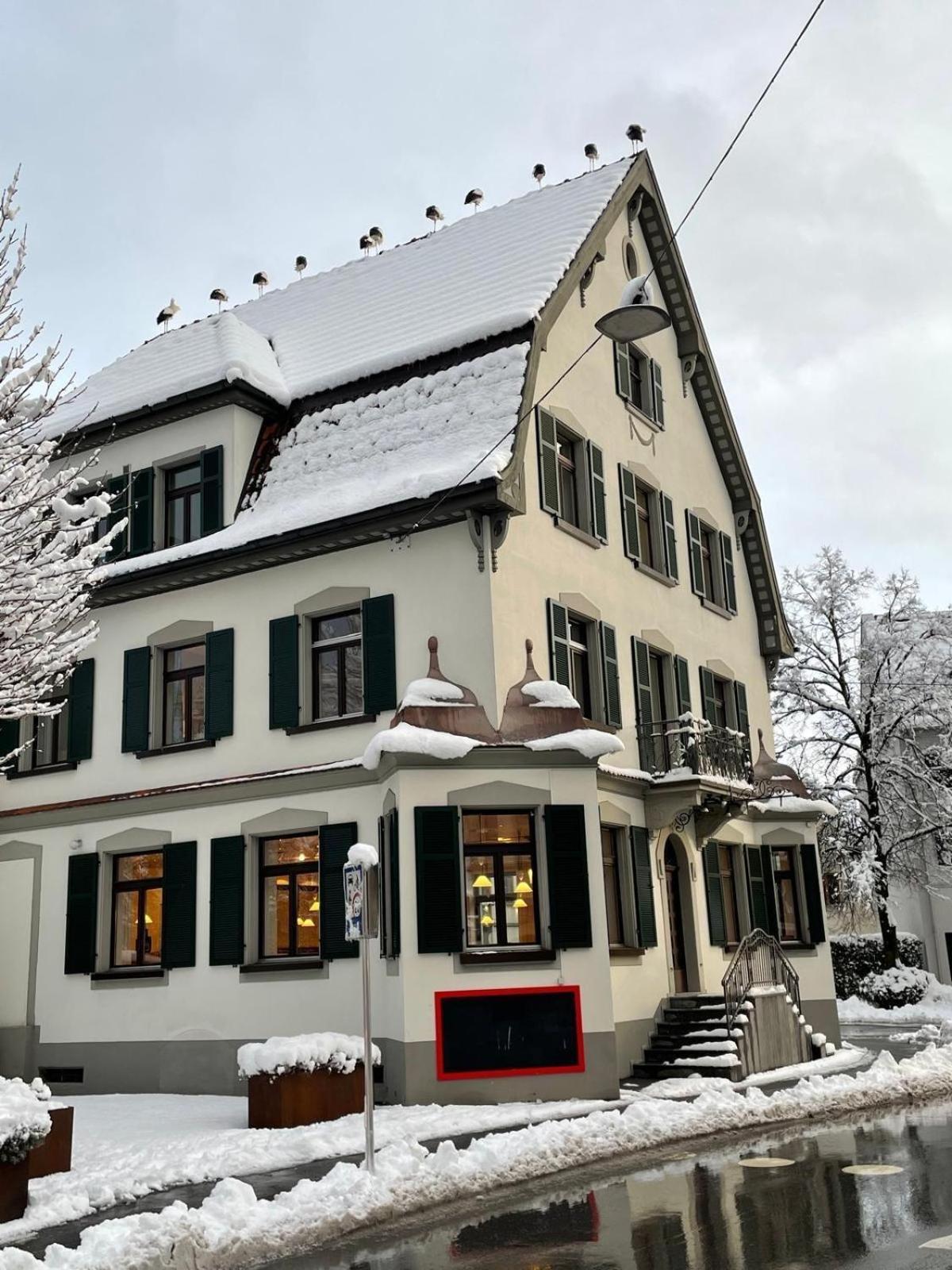 Engel Apartment