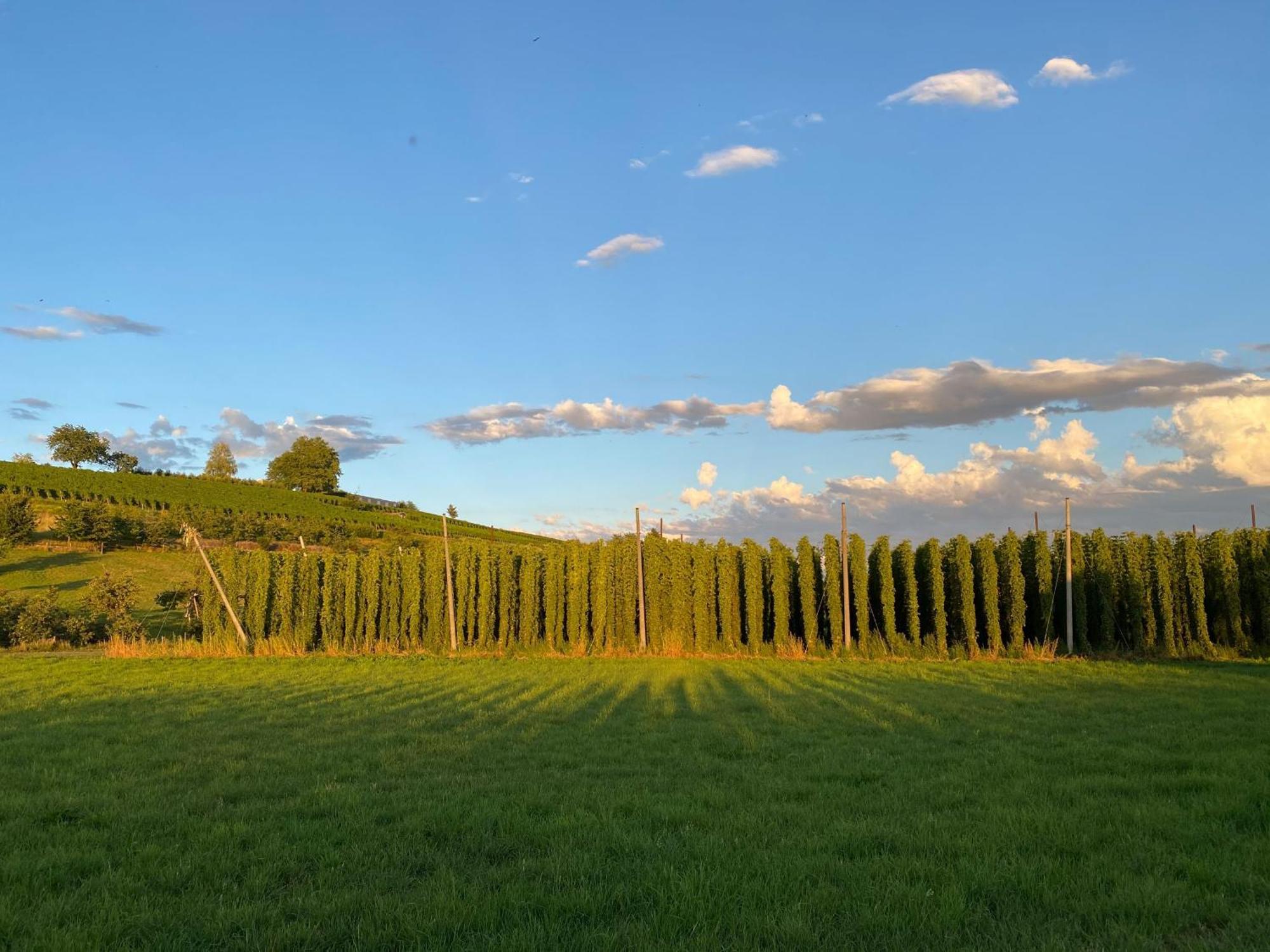 Beim Dorfbach I Hofchalets * Kressbronn am Bodensee