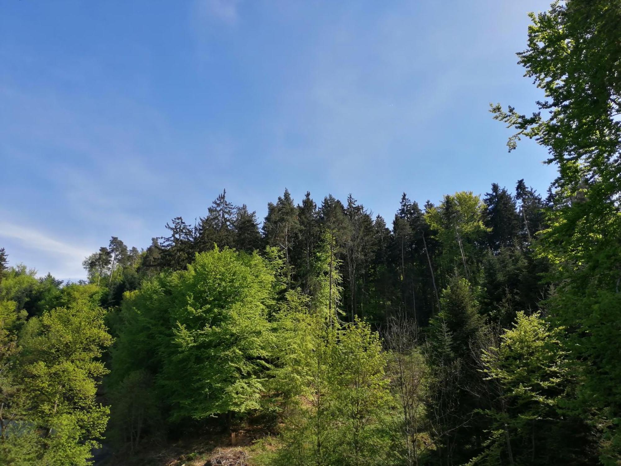 Holiday home Tiny House Im Gruenen *