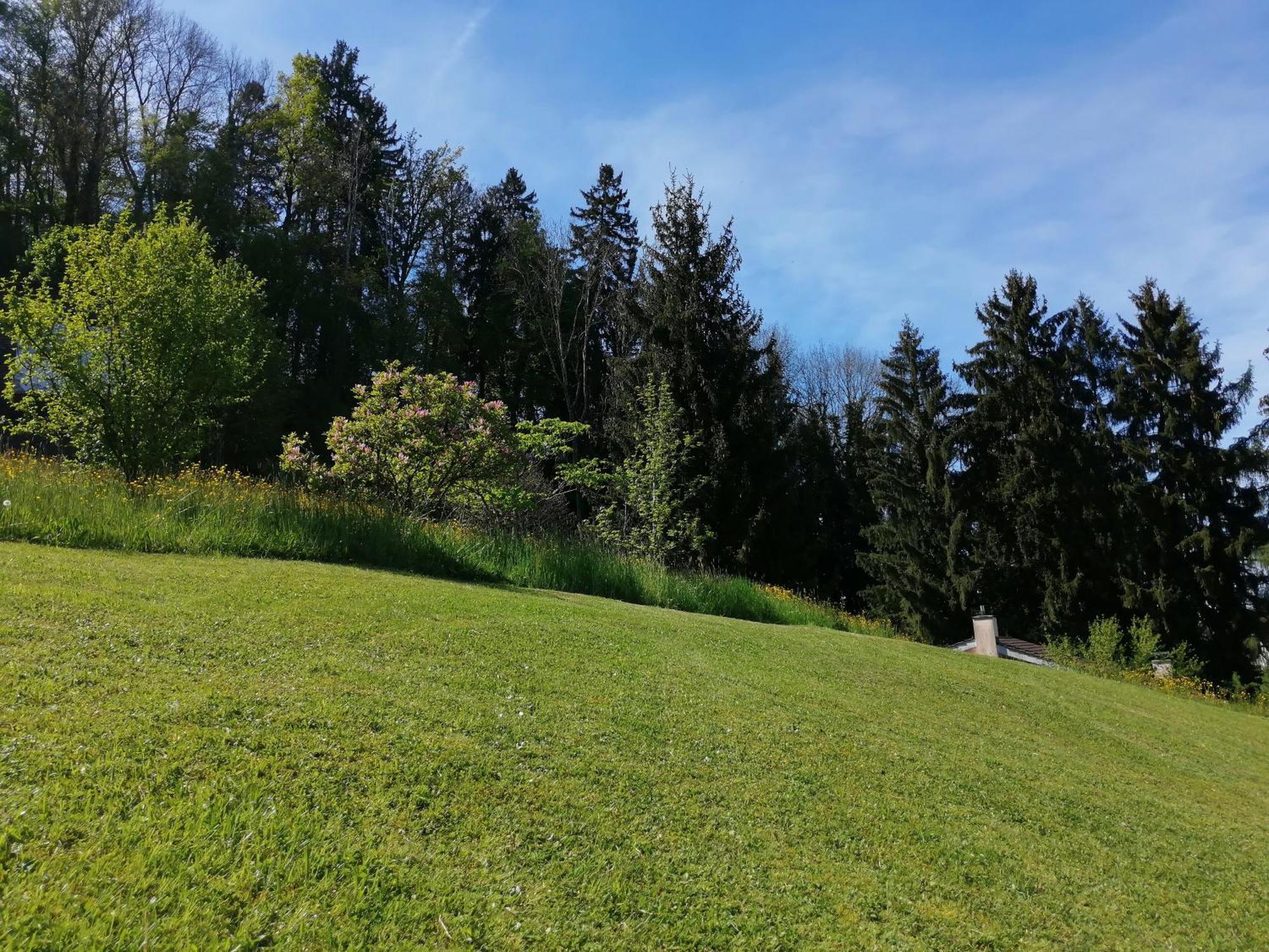 Tiny House Im Gruenen Holiday home