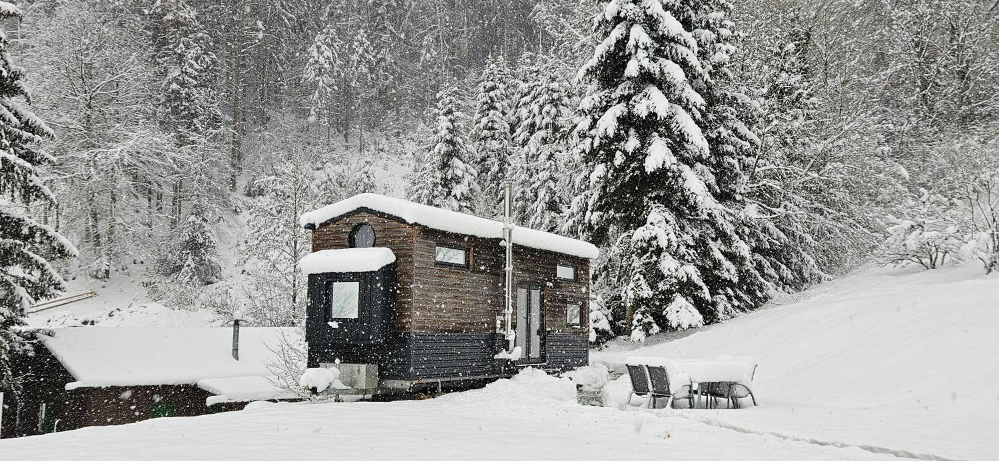 Tiny House Im Gruenen *