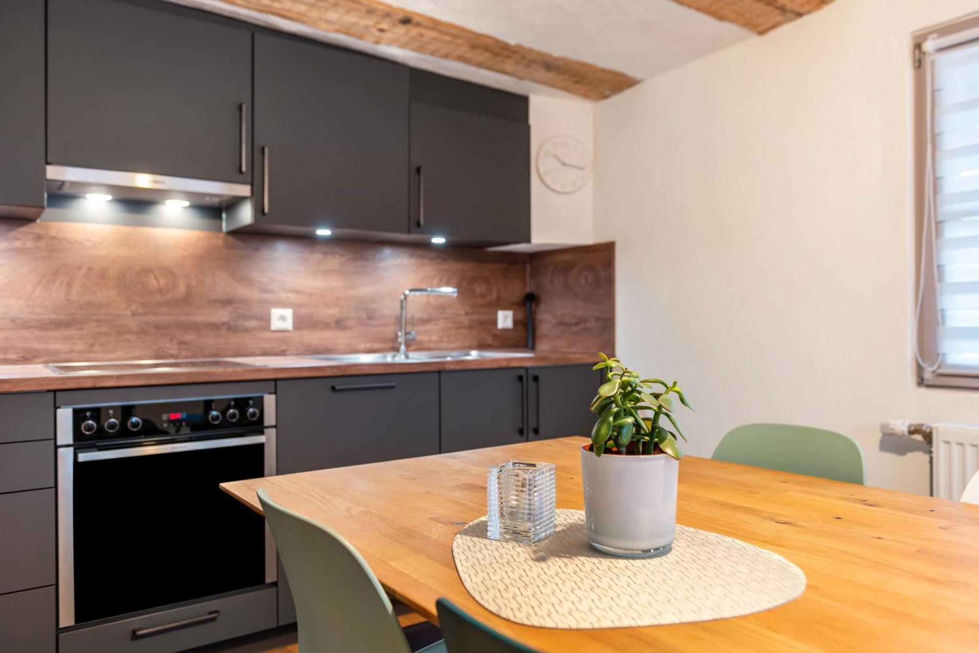 Apartment Im Gaestehaus Krone Bodman-Ludwigshafen