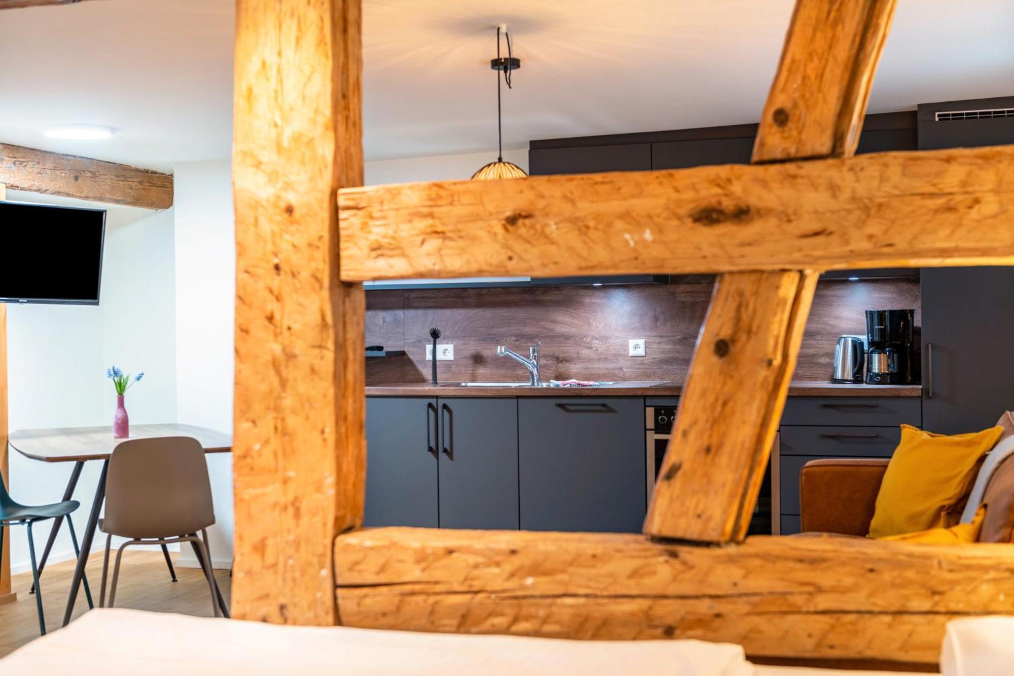 Apartment Im Gaestehaus Krone Bodman-Ludwigshafen