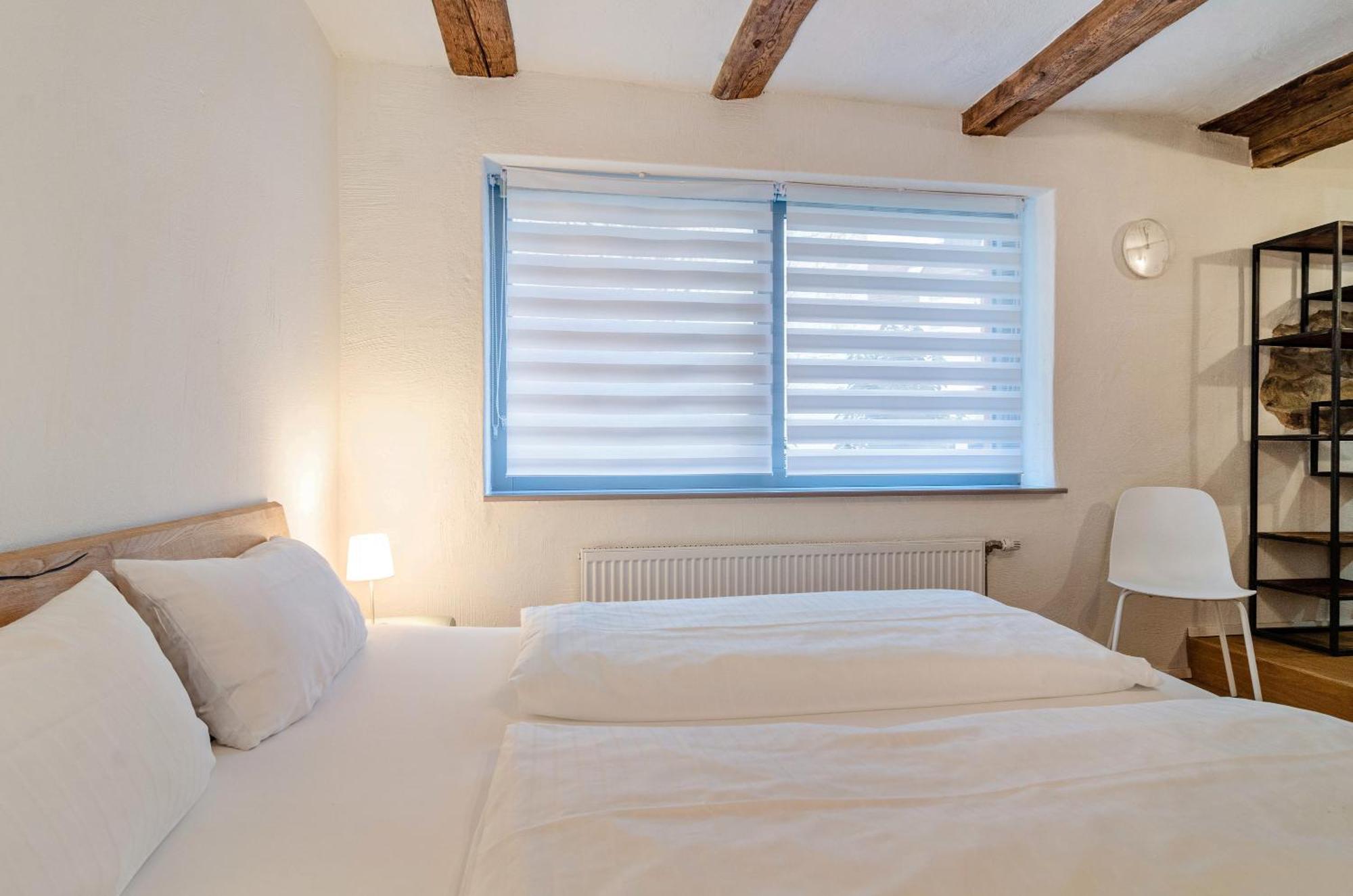 Apartment Im Gaestehaus Krone Bodman-Ludwigshafen