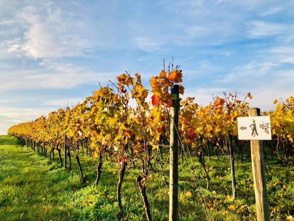 Winzerhotel Kinges-kessel Gbr Morstadt