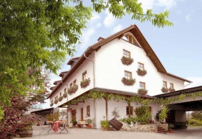 Winzerhotel Kinges-kessel Gbr Hotel Morstadt