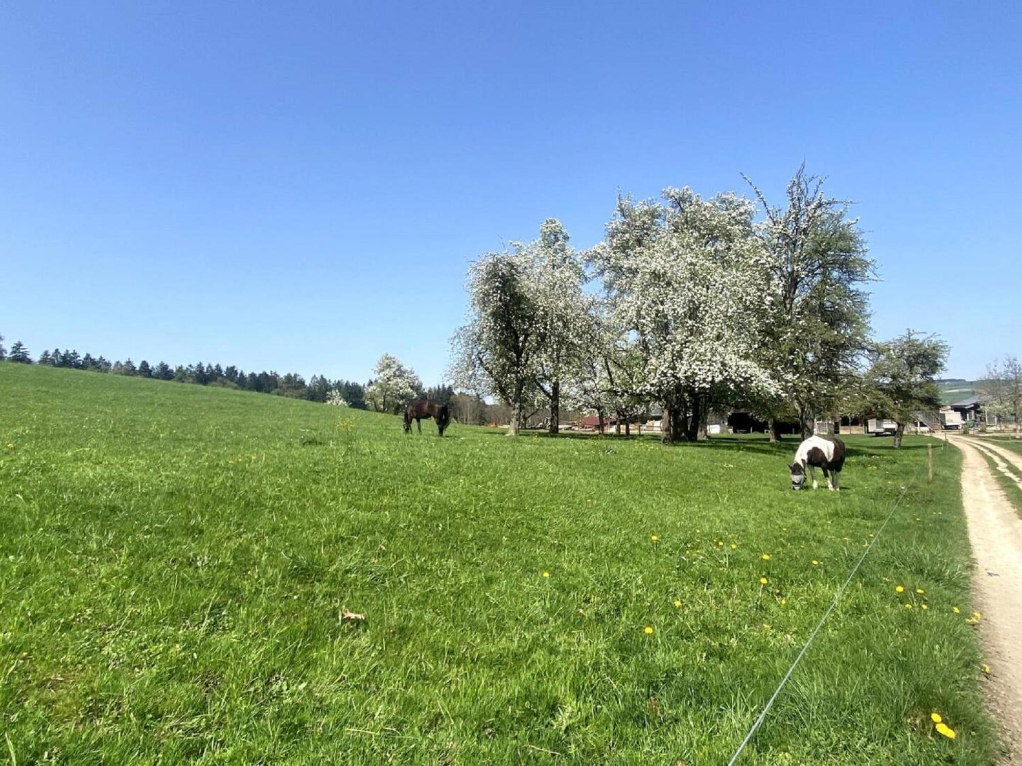 Helchenhof