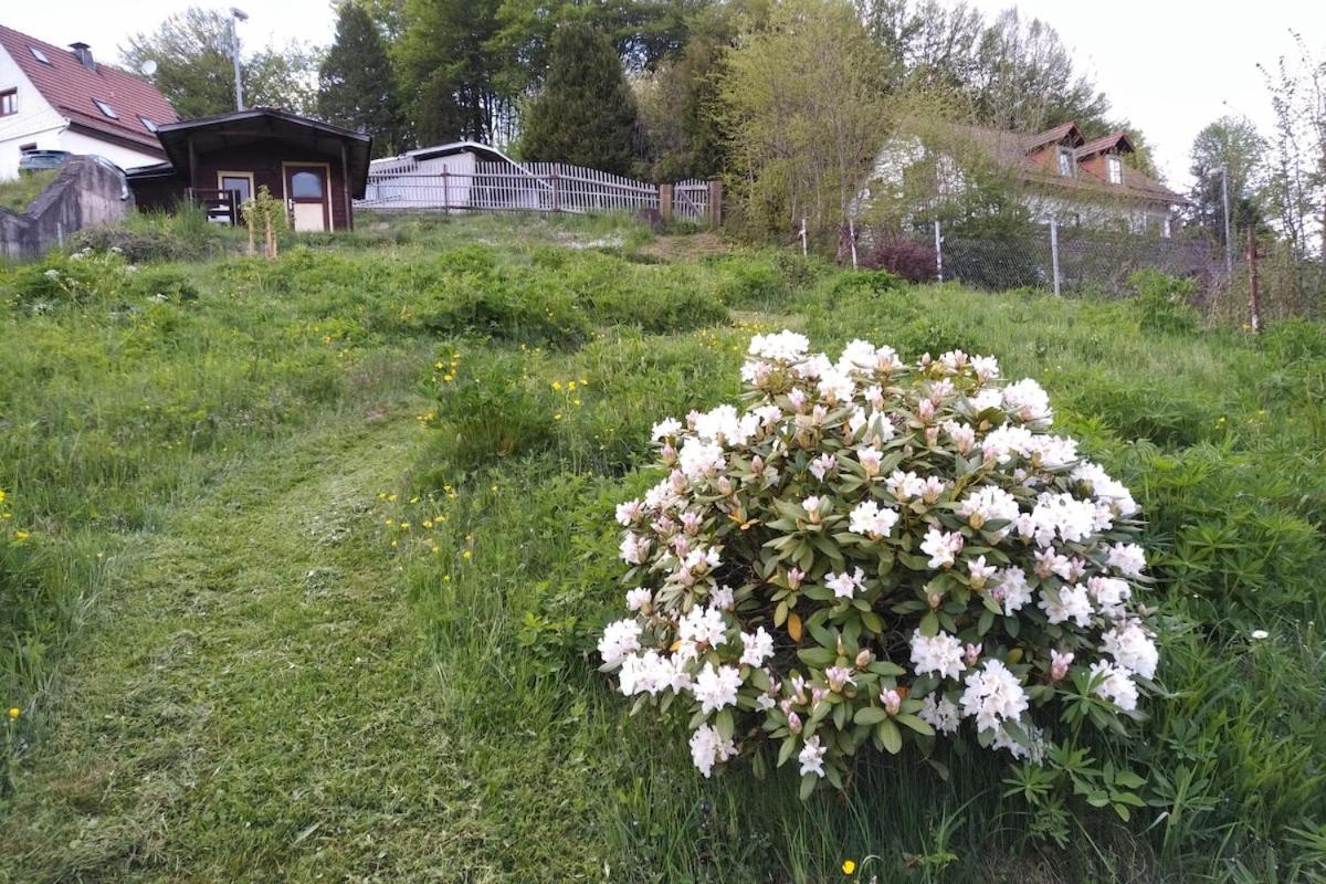Ferienhaus Schwalbennest Holiday home