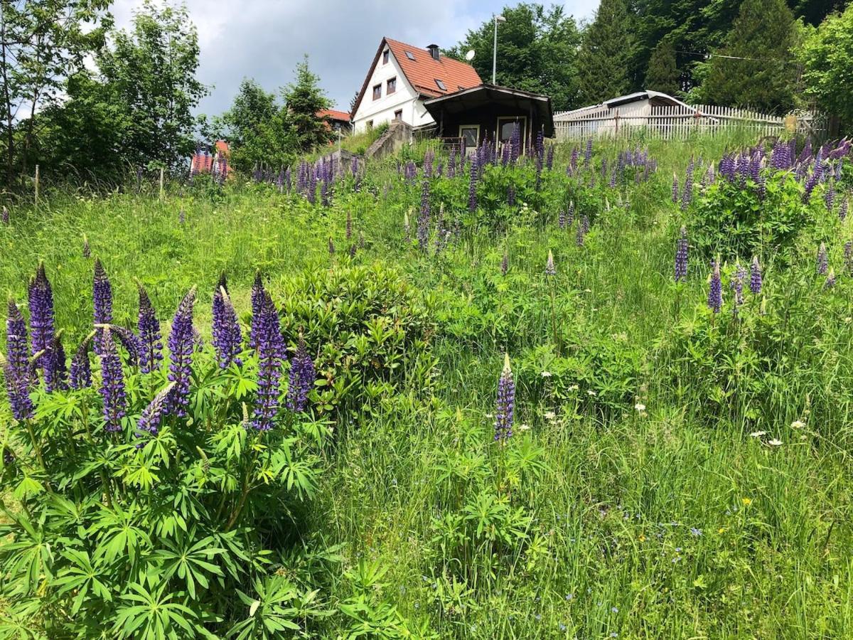Holiday home Ferienhaus Schwalbennest
