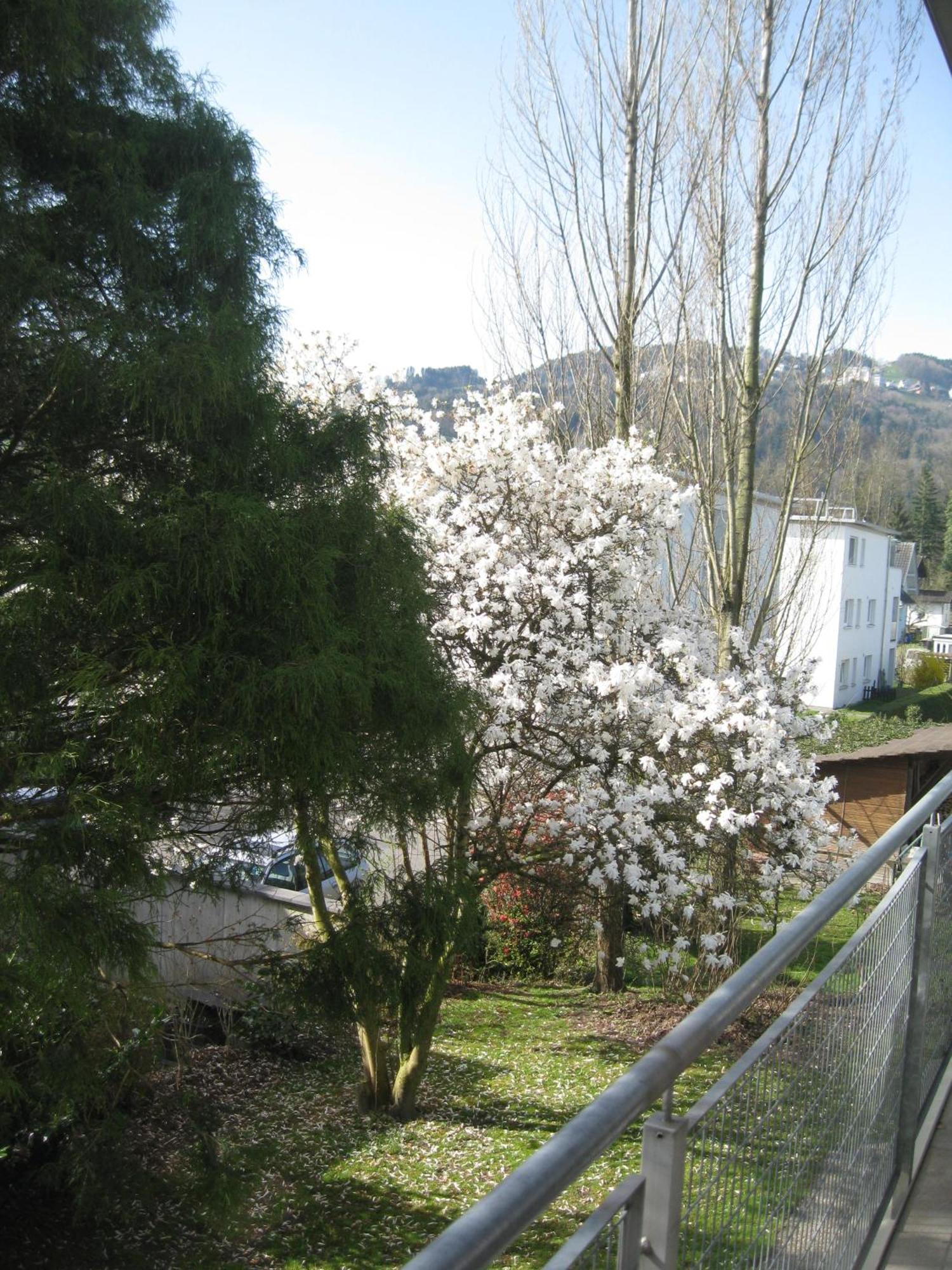 Ferien Im Paradies - Prima Apartment *