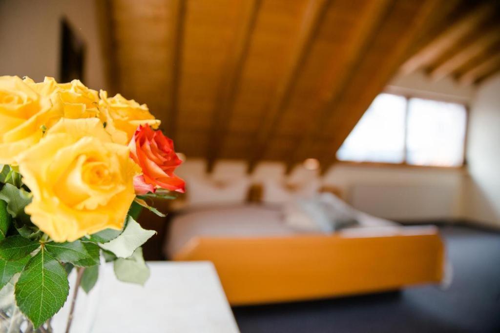 Gaestehaus St. Martin Sipplingen