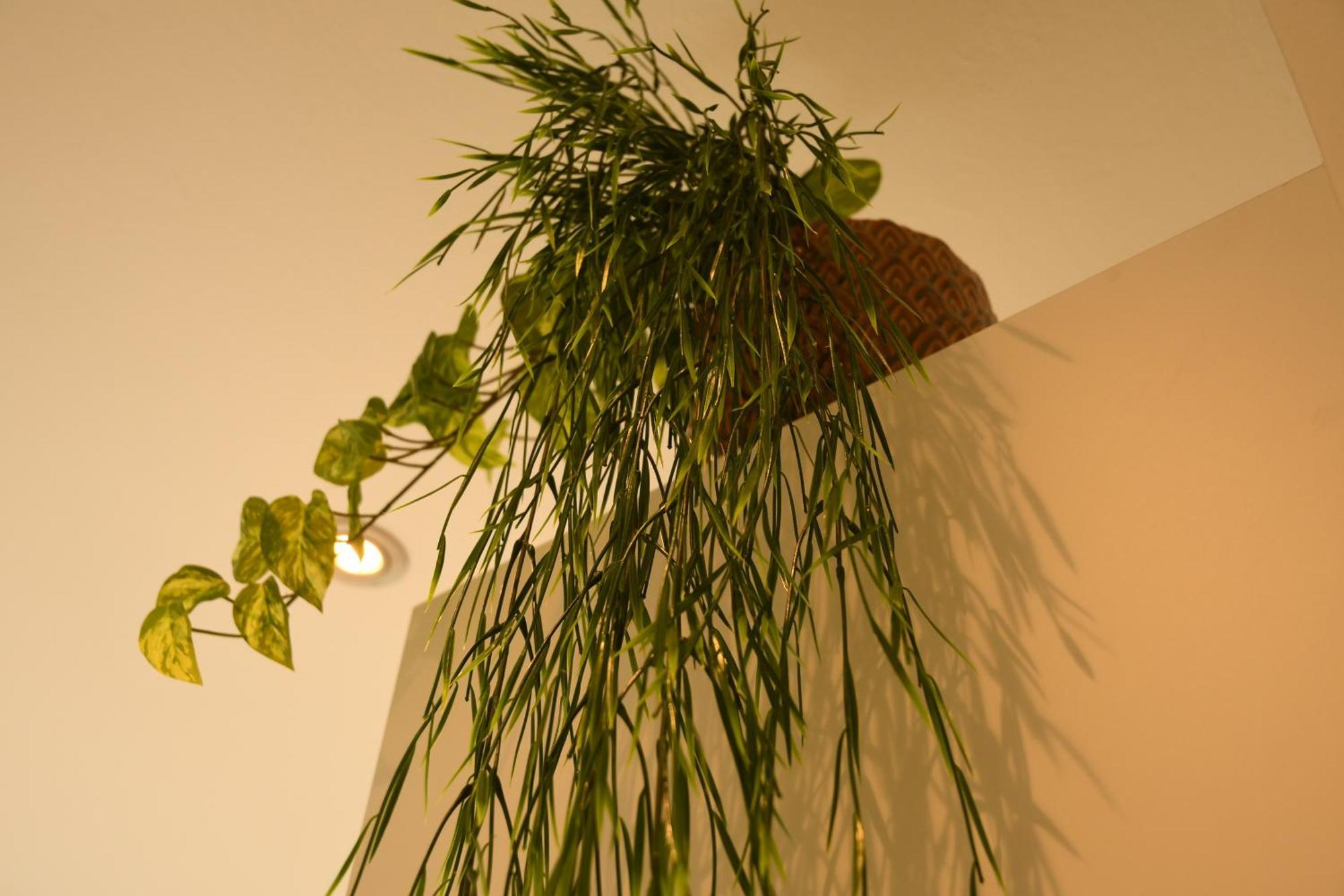 Engel Apartment *