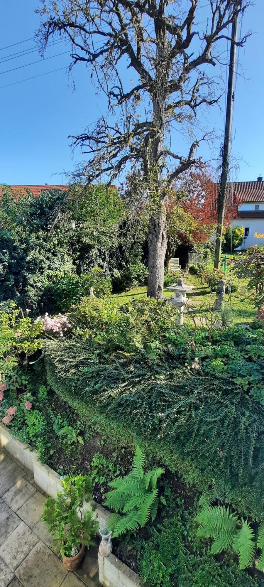 Kleine Paradies * Markdorf