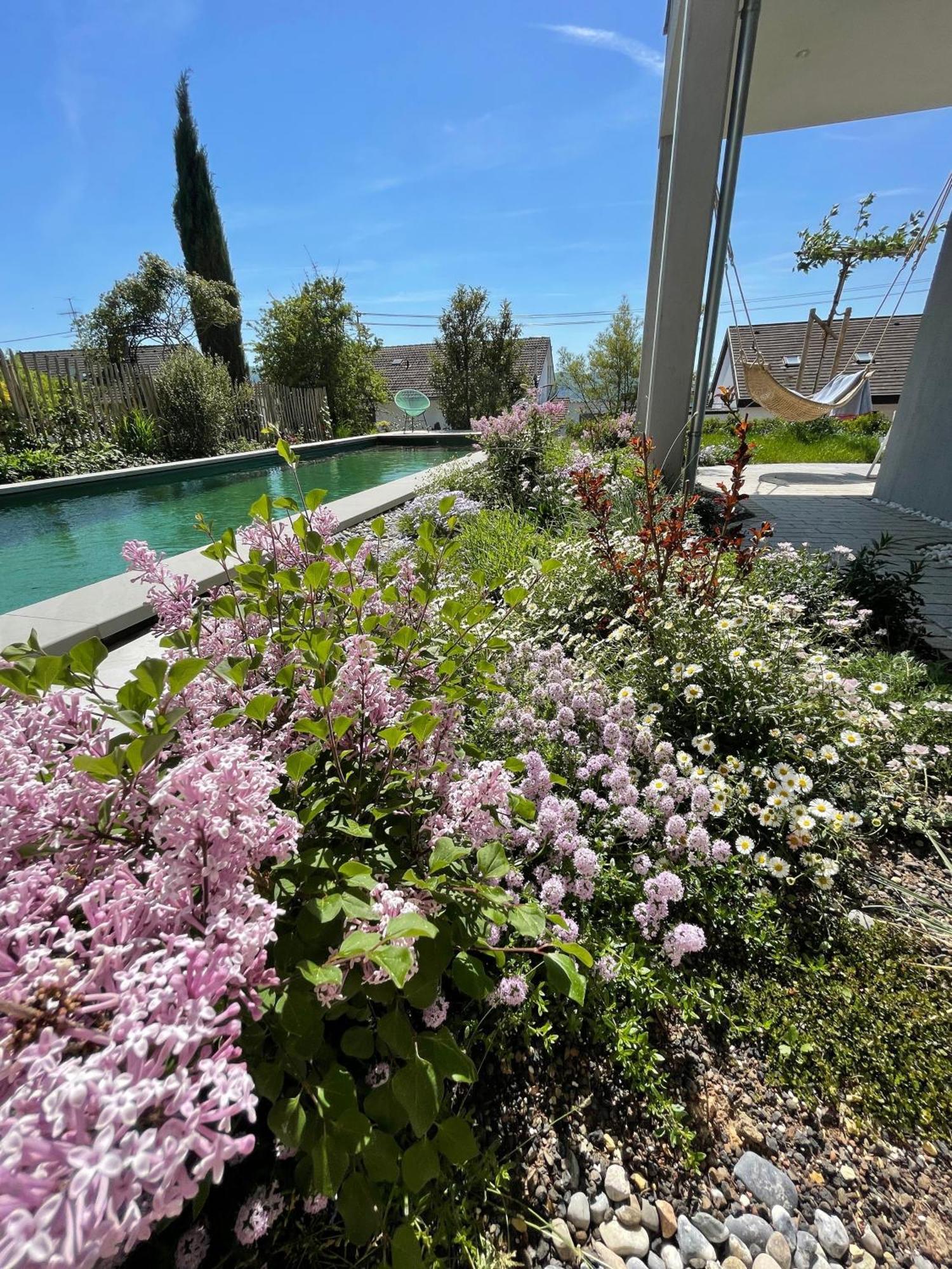 Apartment Bodensee-apartment Seesucht No 86 Bodman-Ludwigshafen