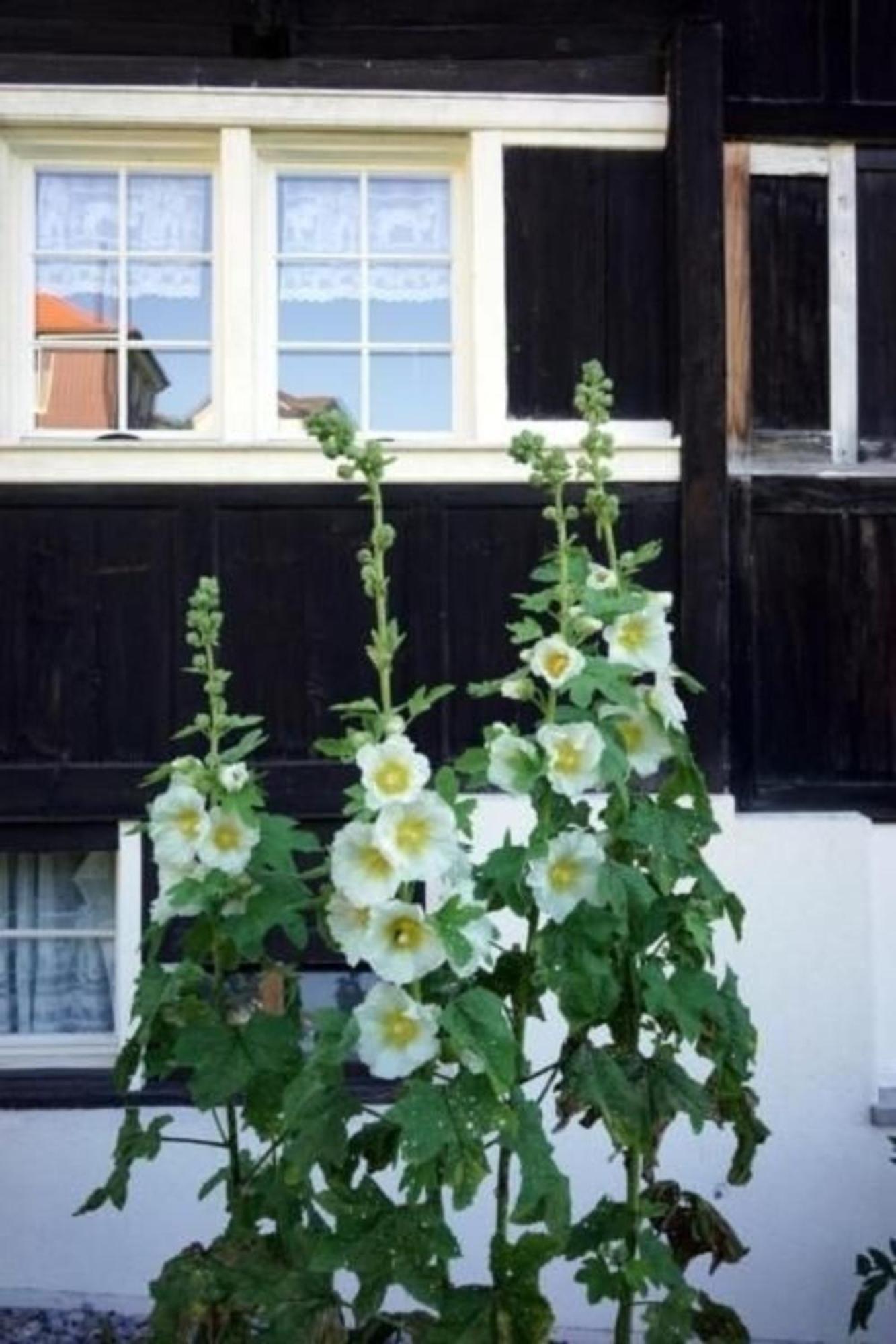 Holiday home Ferien In Der Vogelherd *