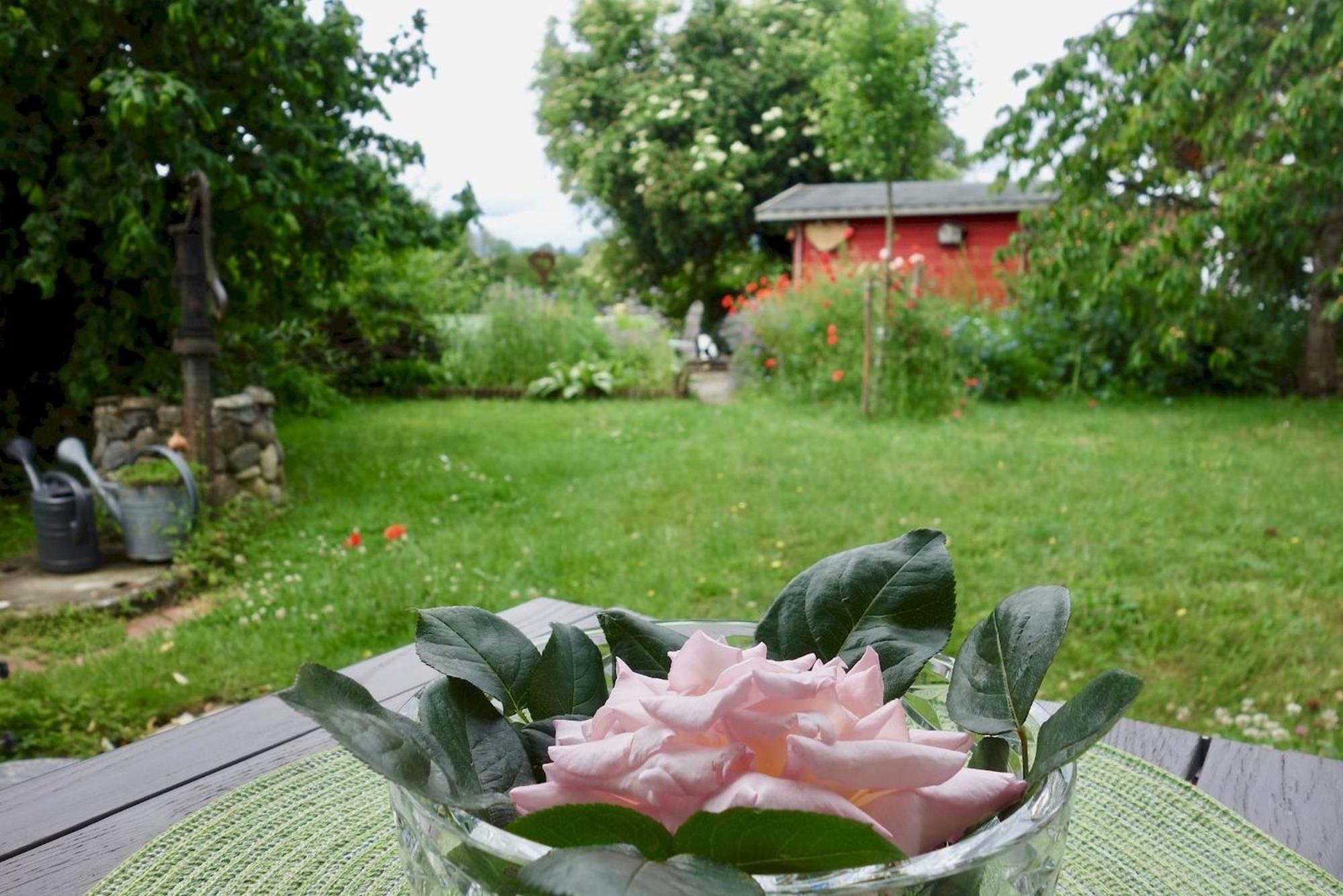 Bodenseenahe Ruhige Ferienoase Apartment *