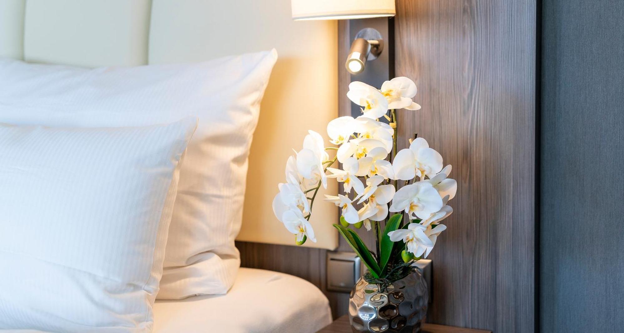 Plaza Buchhorner Hof 4* Friedrichshafen
