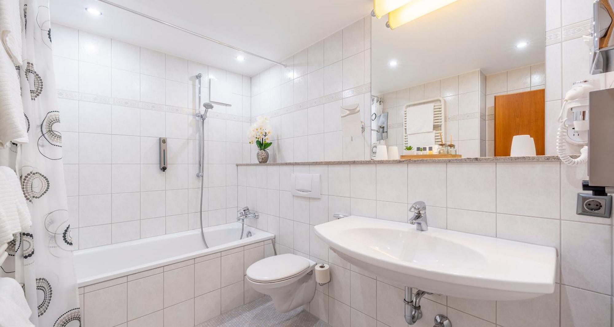 Plaza Buchhorner Hof 4*
