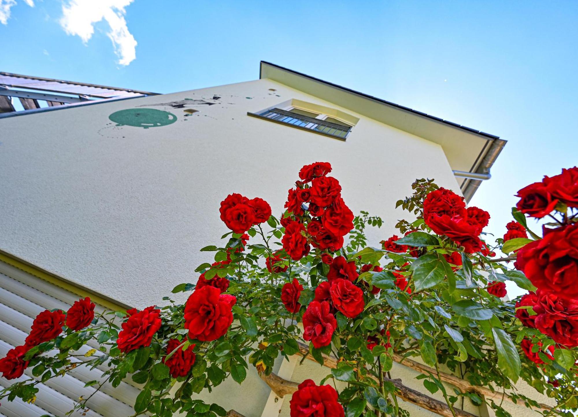 Mit Ueberdachtem Balkon 7 7 Og Apartment *
