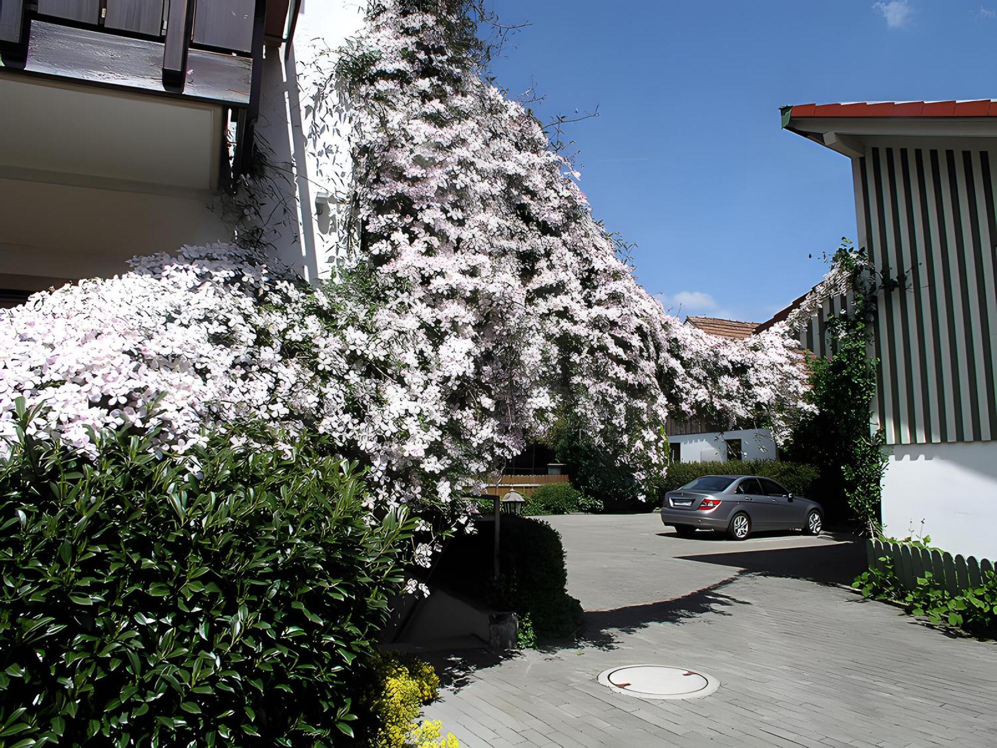Gaestehaus Gutensohn * Wasserburg am Bodensee