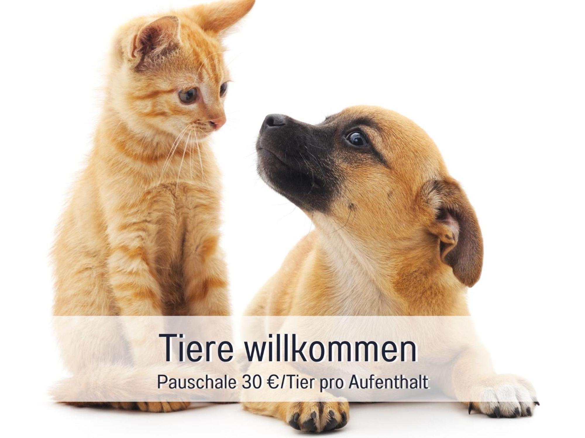 Olive - Ruhe & Entspannung In 2-zi-fewo Mit Garten-whirlpool, Terrasse & Hund Willkommen By Ferienwohnenamsee Apartment