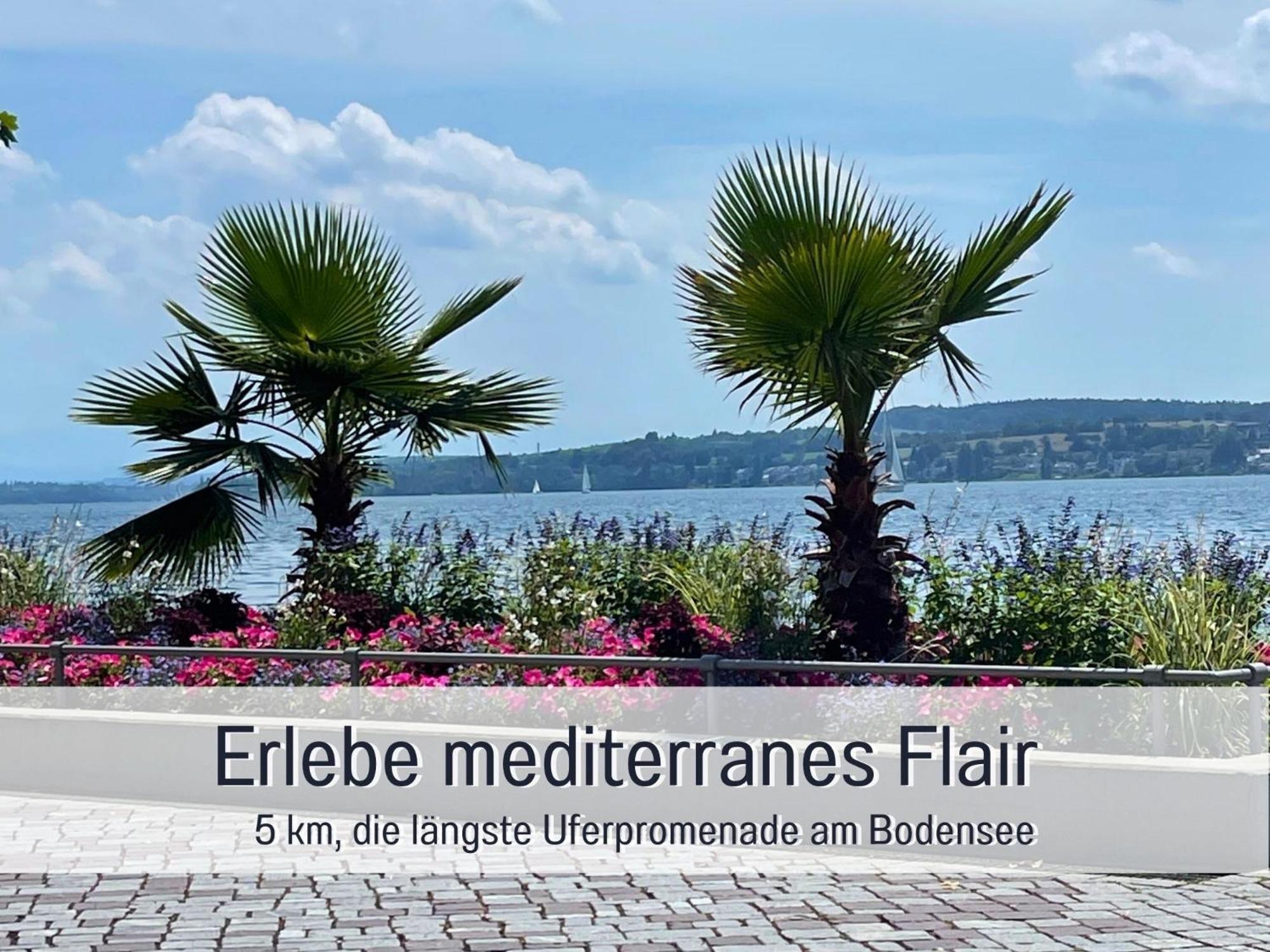 Apartment Olive - Ruhe & Entspannung In 2-zi-fewo Mit Garten-whirlpool, Terrasse & Hund Willkommen By Ferienwohnenamsee
