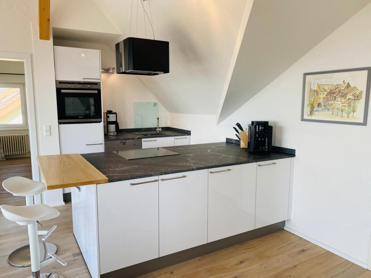 Penthouse Seeblick * Meersburg