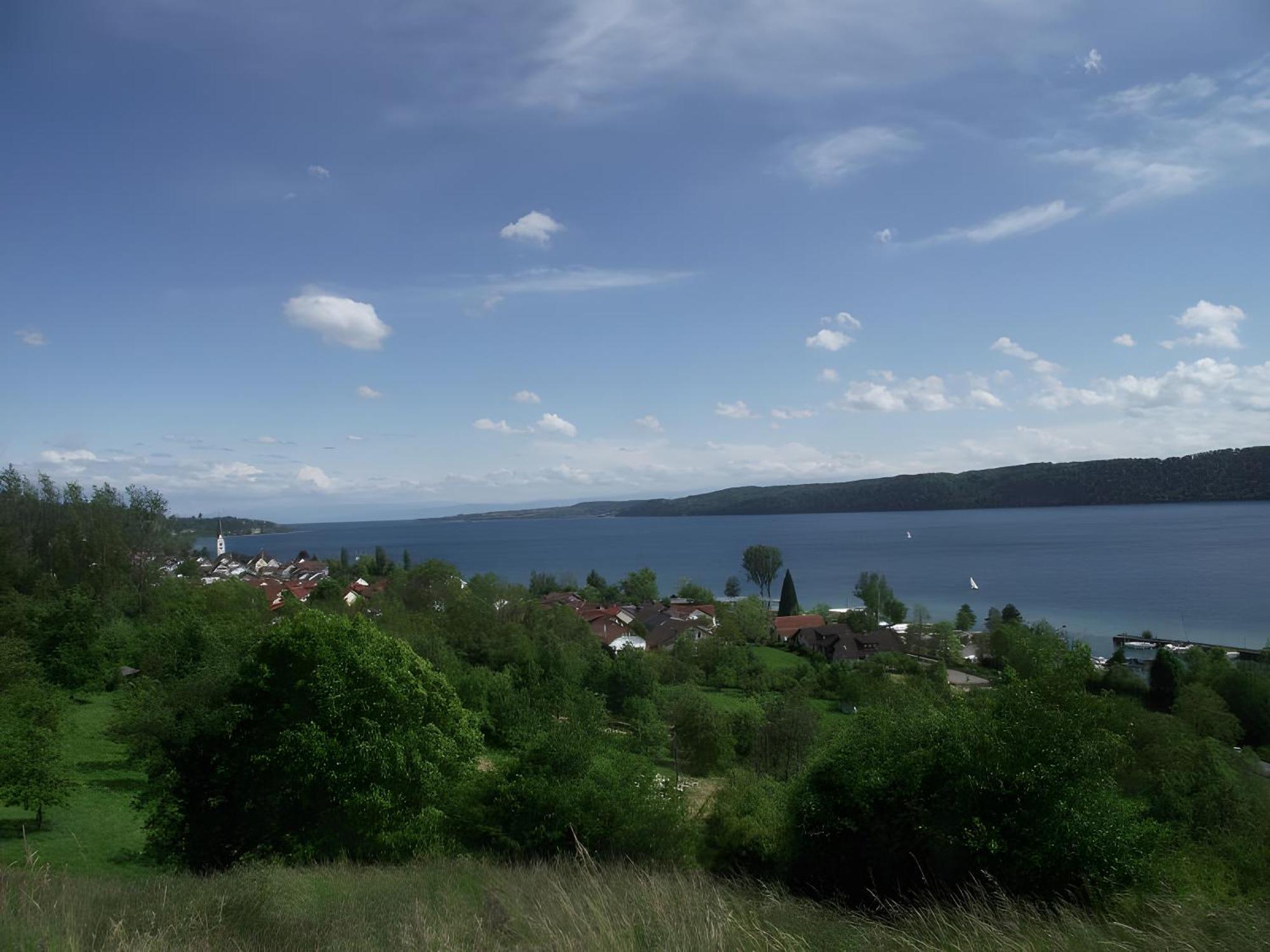 Vogt * Sipplingen