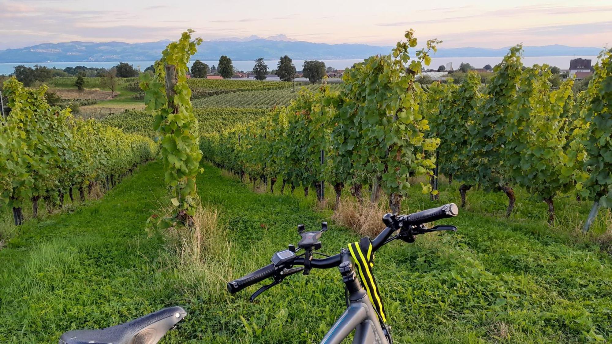 Mit Klavier Wasserburg am Bodensee