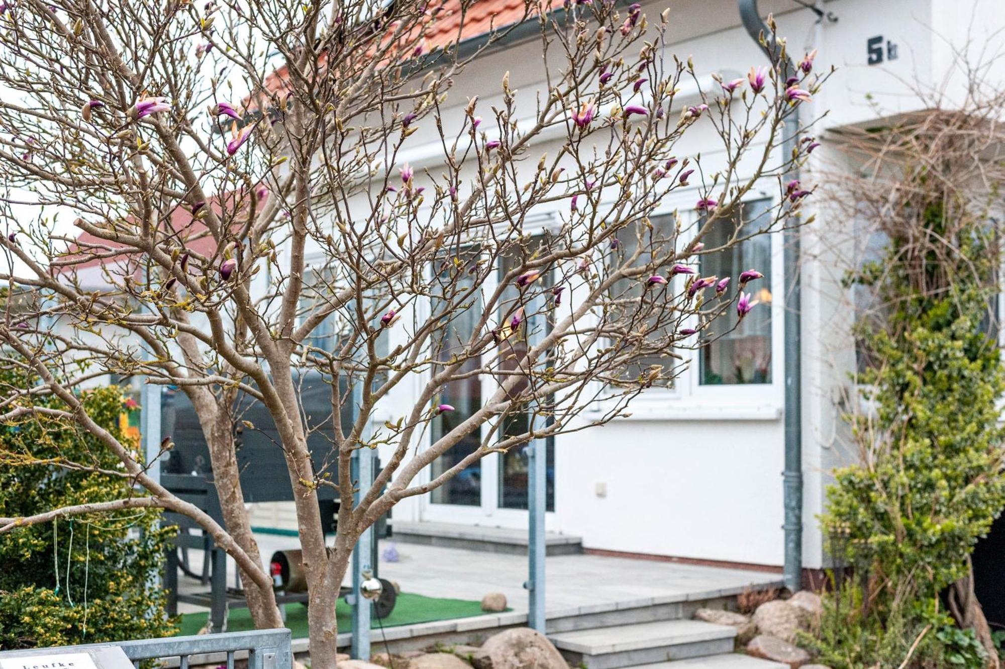 Holiday home Haus Salzhaff An Der Ostsee *