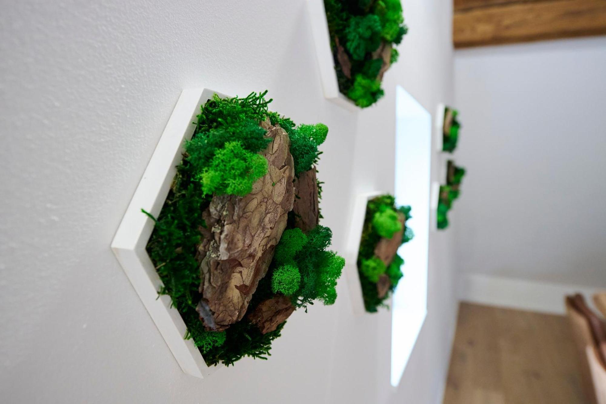 Wood World Luxury - Massage - Bergblick - Tranpolin- Parken Apartment