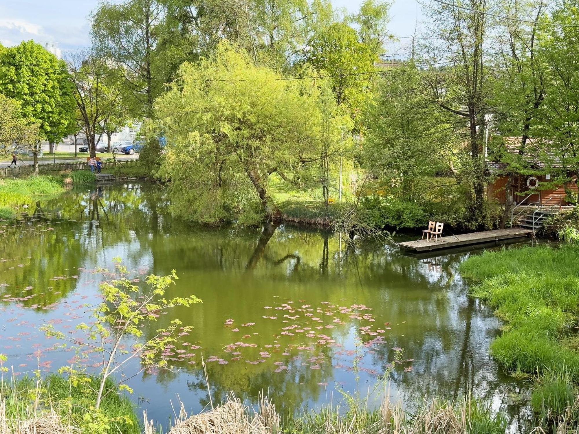 Weiherblick