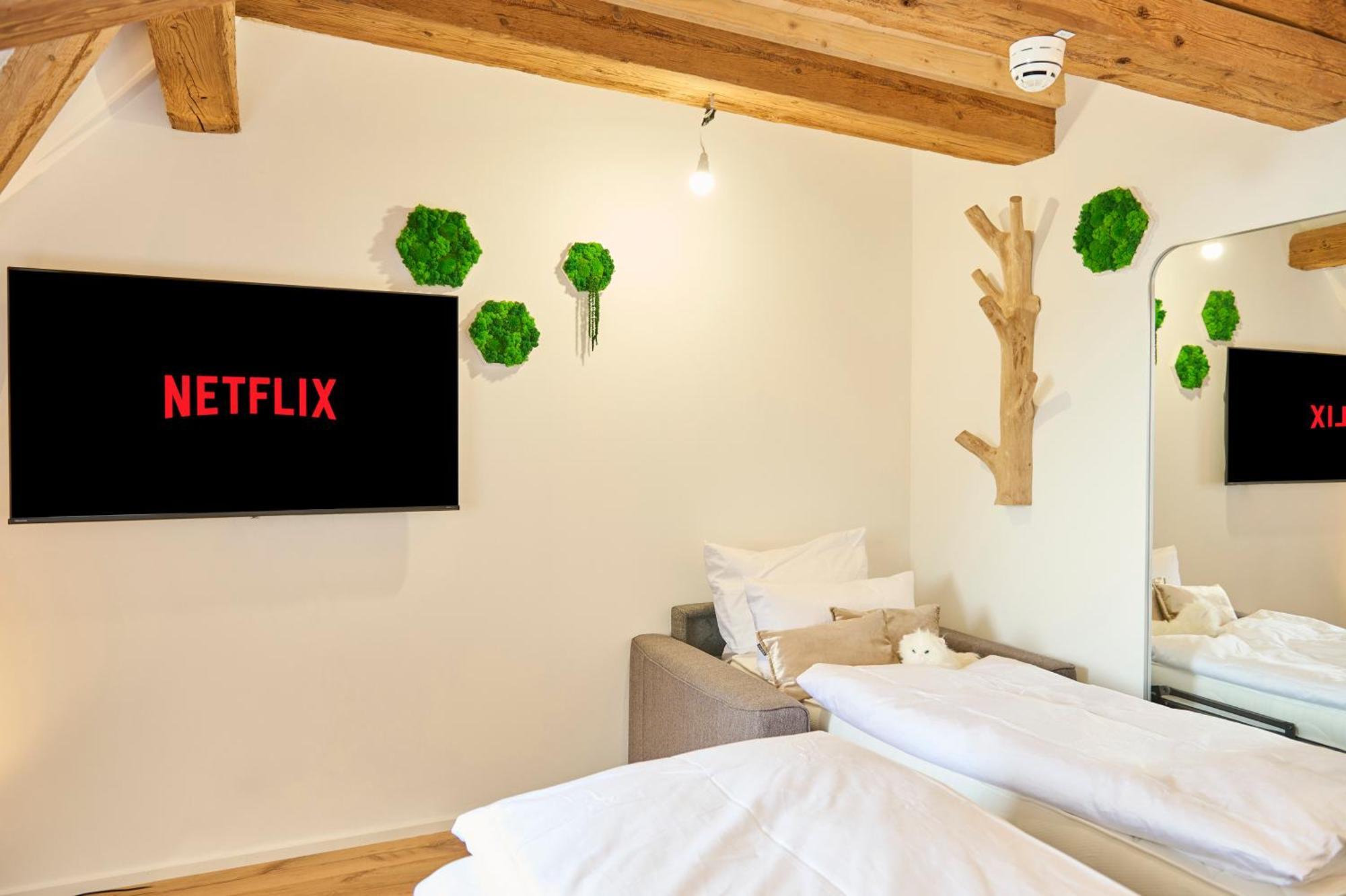Wood World Ii Massage - Bergblick - Parken - Kueche - Light Show - Trampolin Apartment Markdorf
