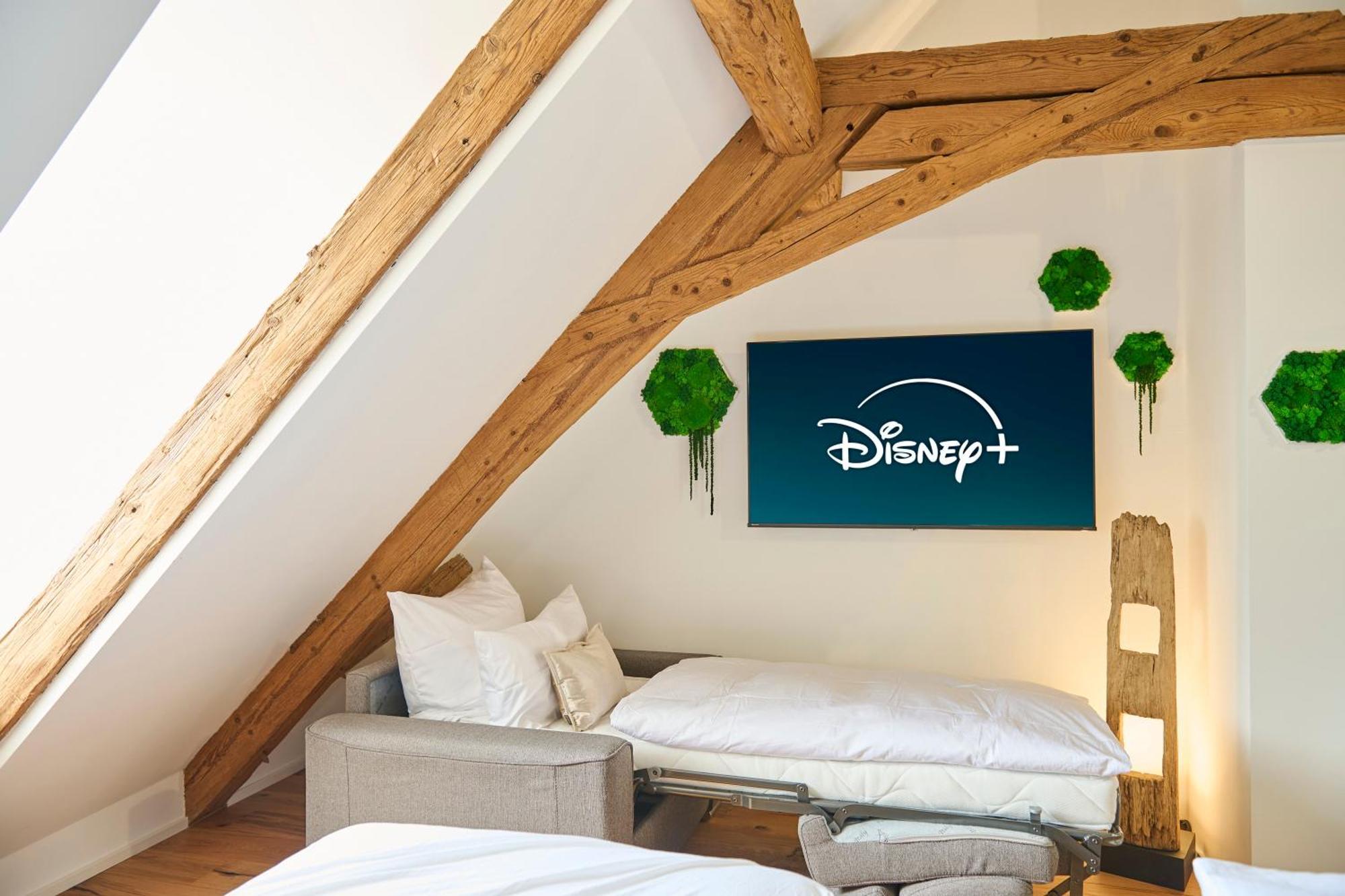 Wood World Ii Massage - Bergblick - Parken - Kueche - Light Show - Trampolin * Markdorf