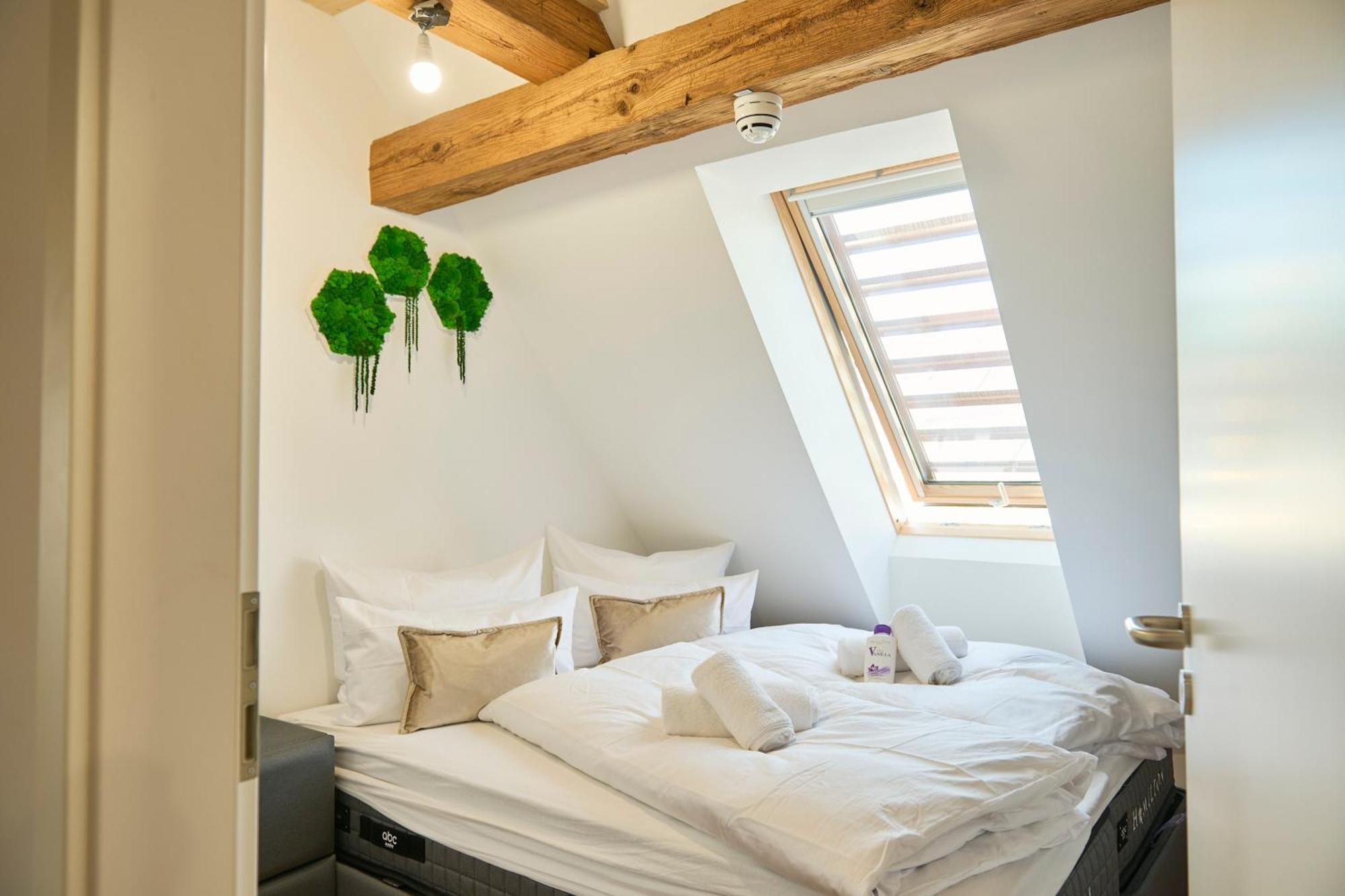 Apartment Wood World Ii Massage - Bergblick - Parken - Kueche - Light Show - Trampolin *