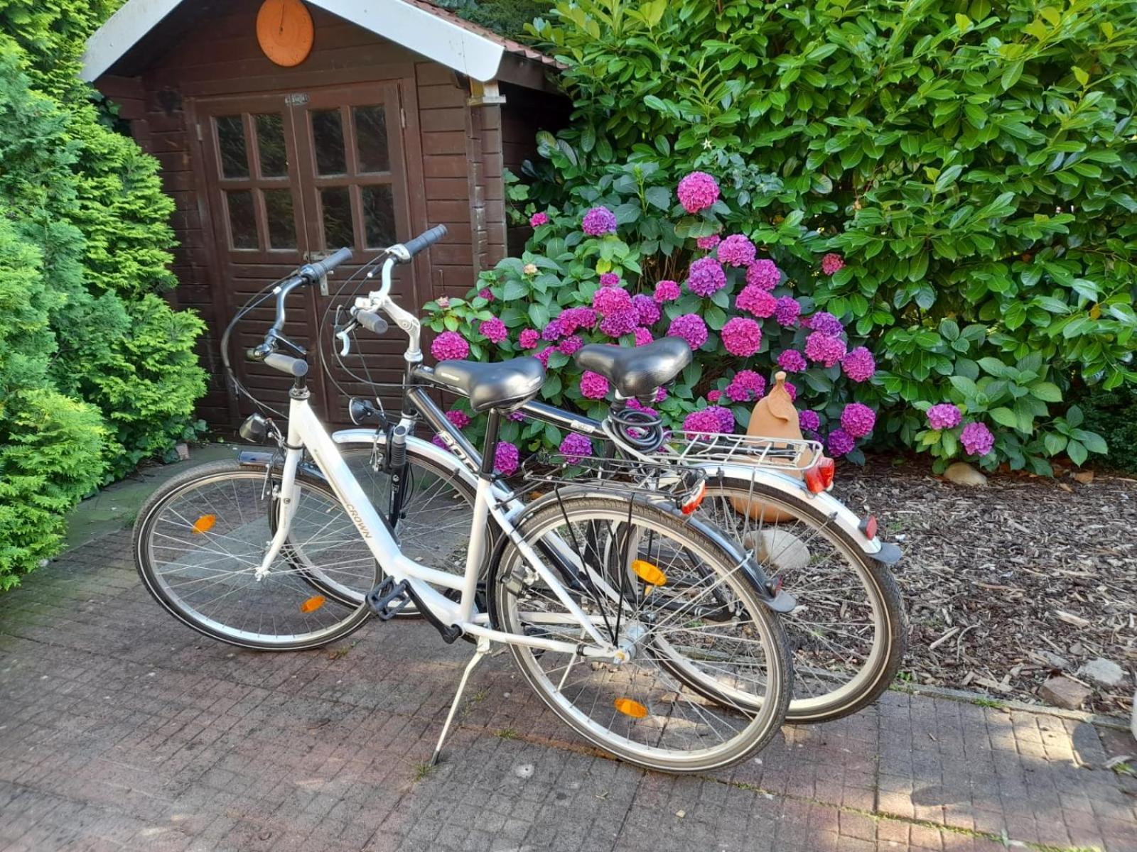 Ferienhaus Am Sielblick In * Ditzum