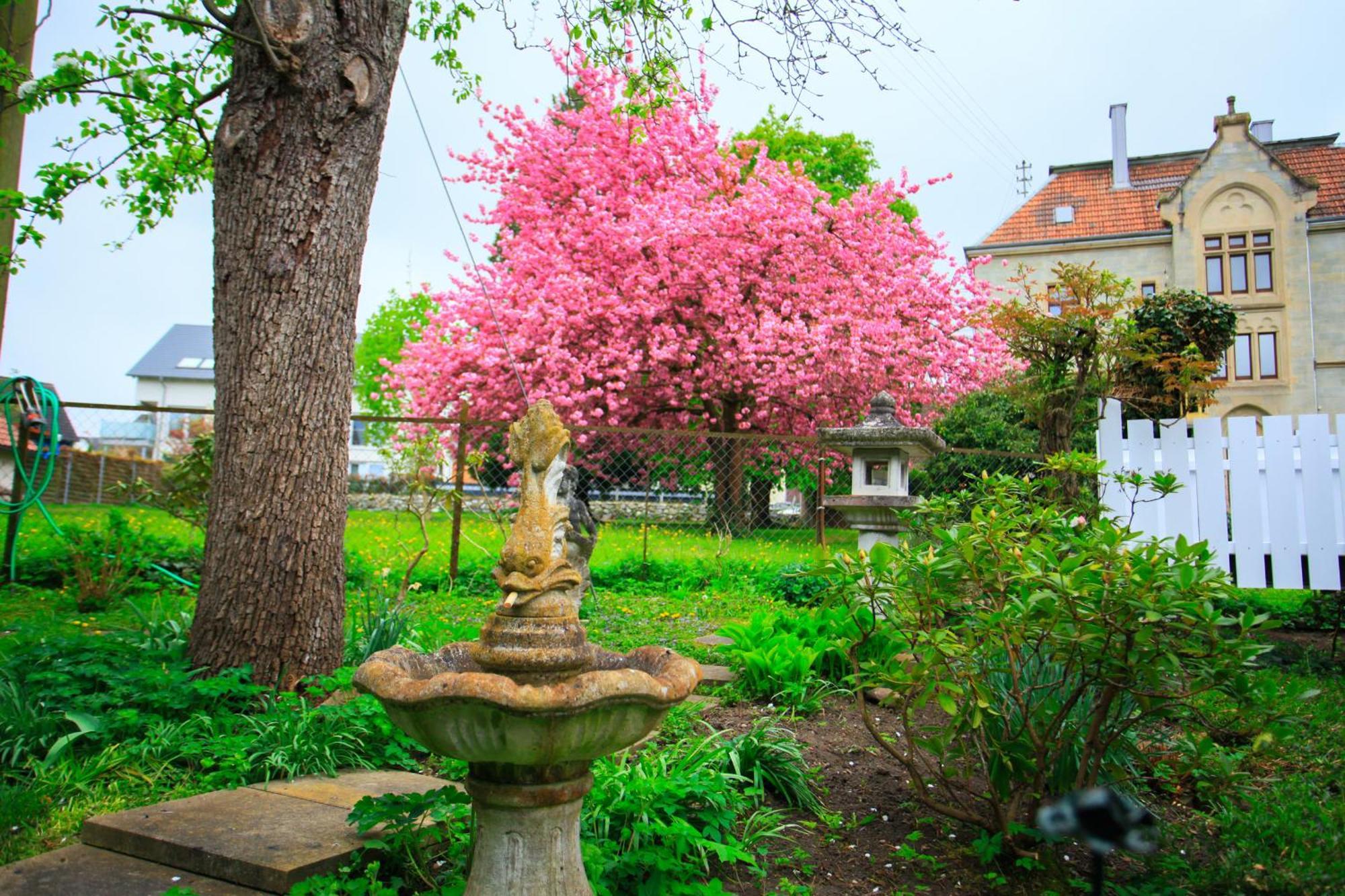 Kleine Paradies