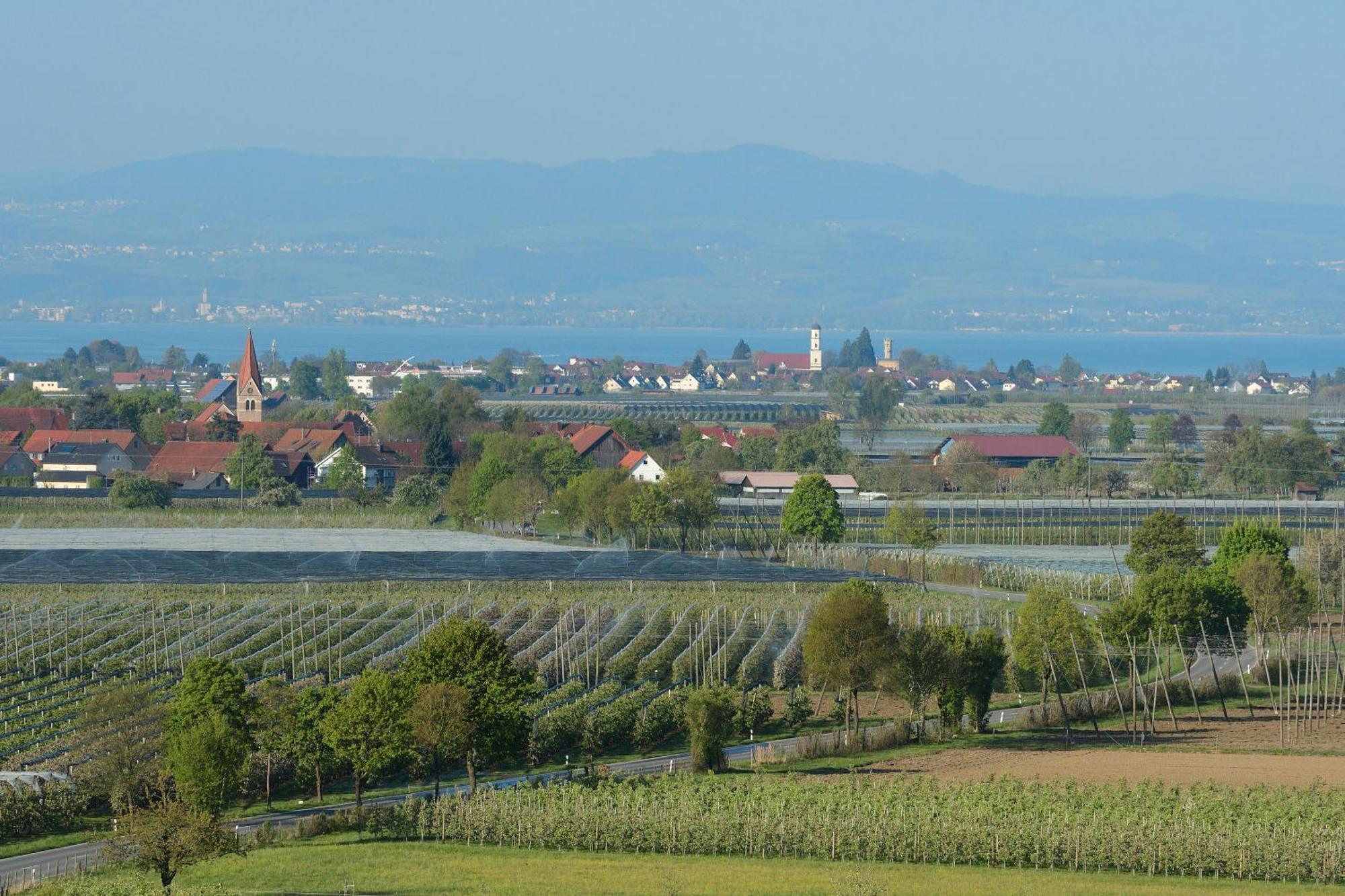 Apartment Ferien- Und Obsthof Dillmann *