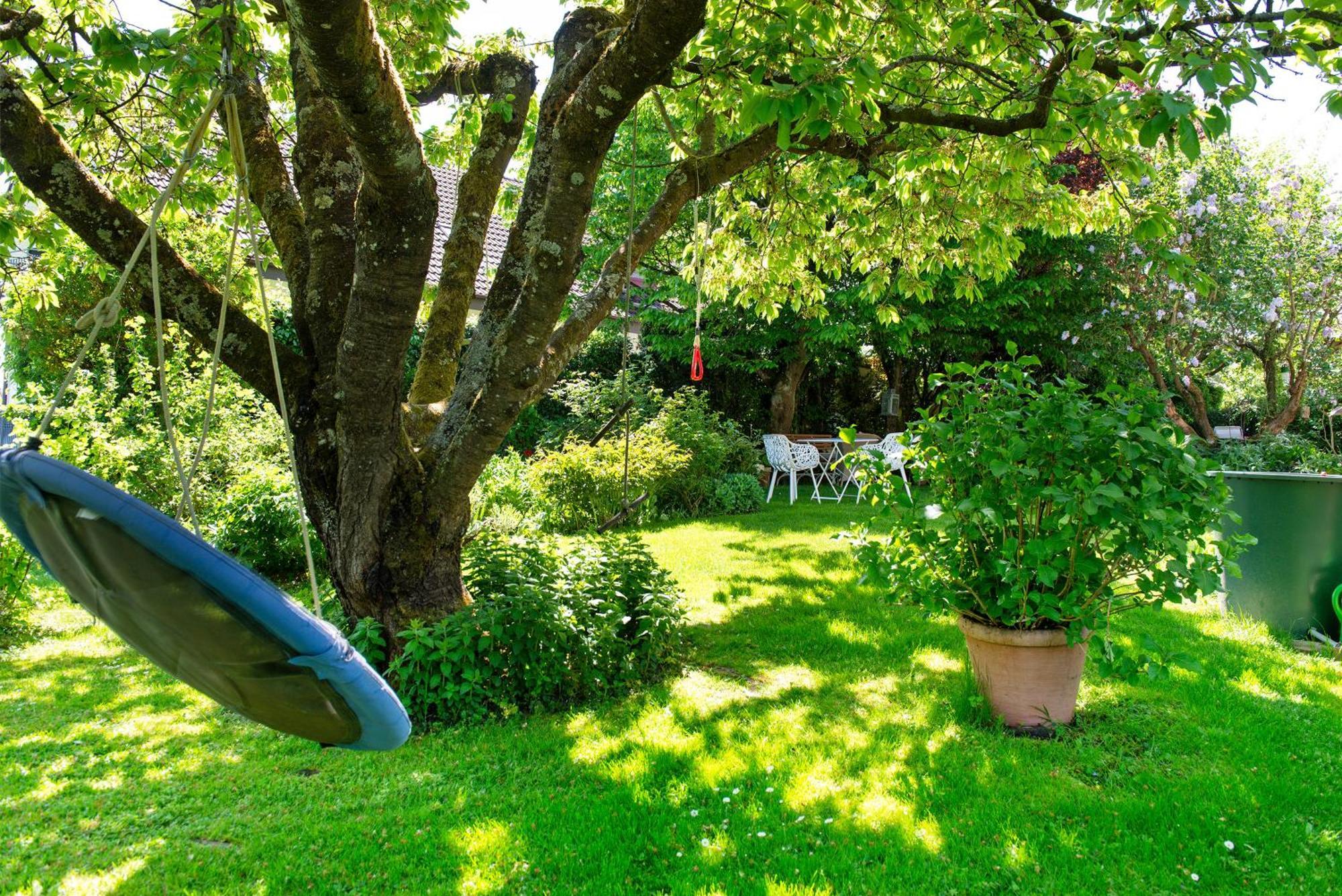 Riedel Apartment Immenstaad am Bodensee