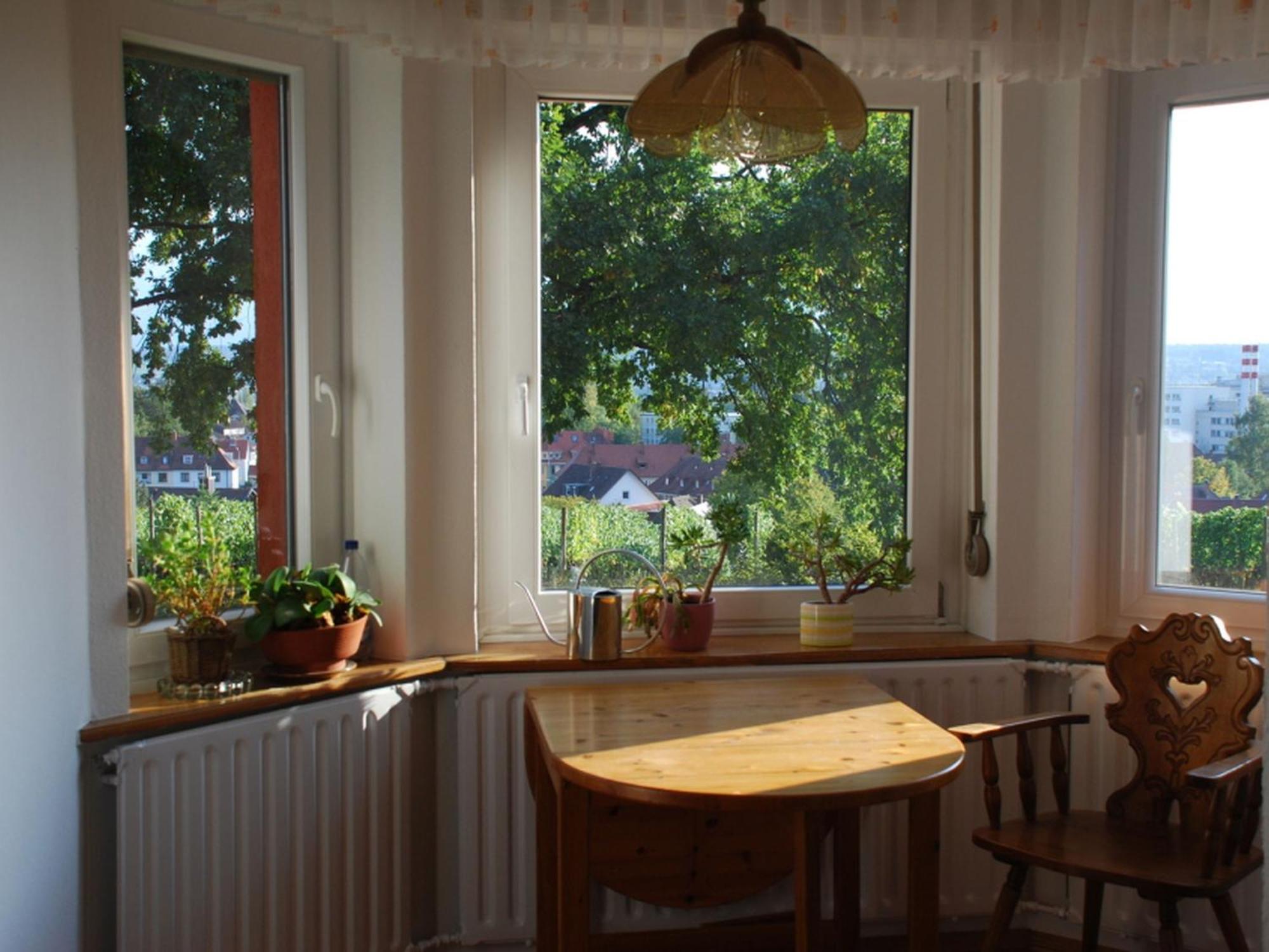 Blum * Konstanz