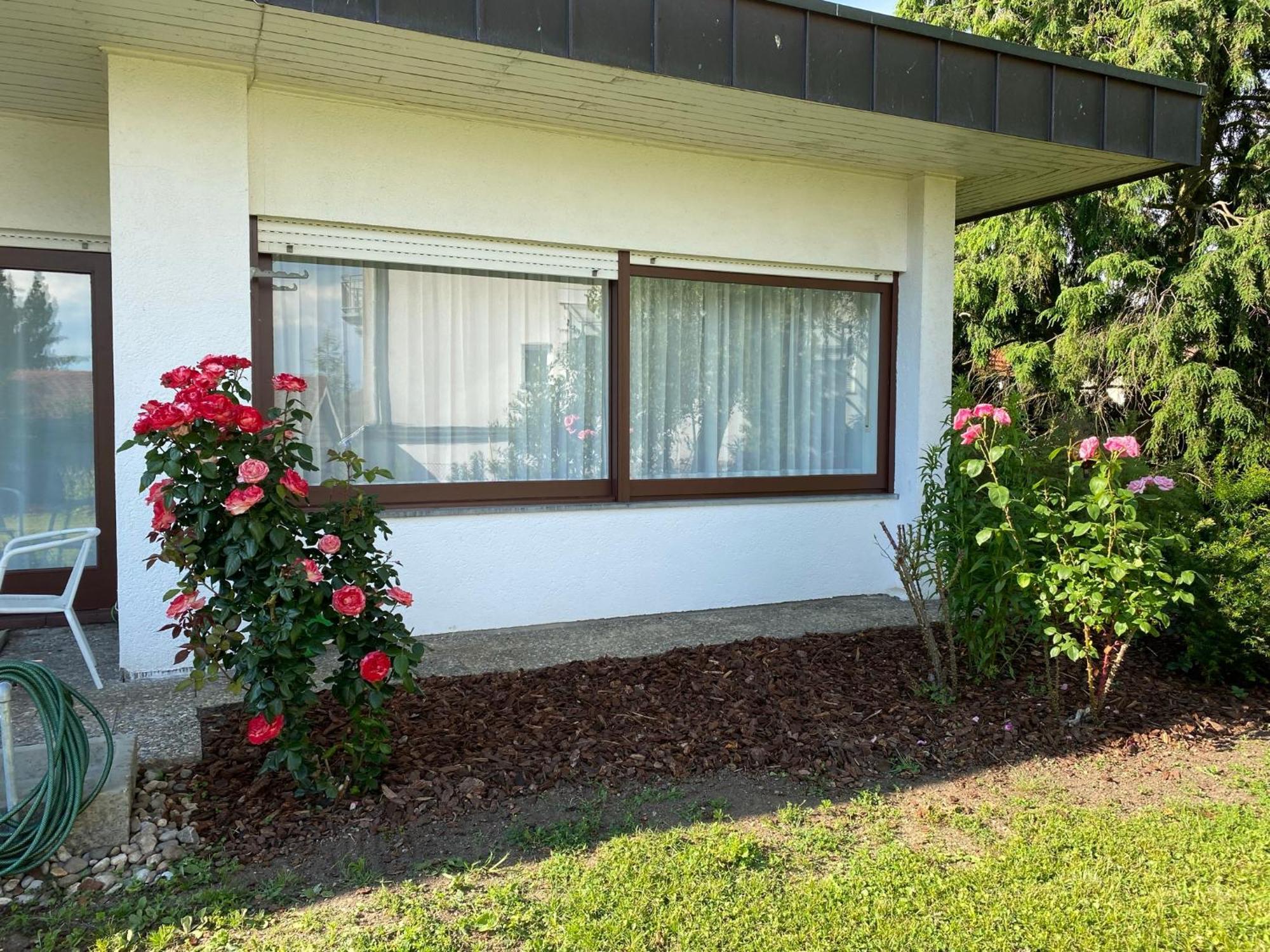 Apartment Bodensee Immenstaad am Bodensee