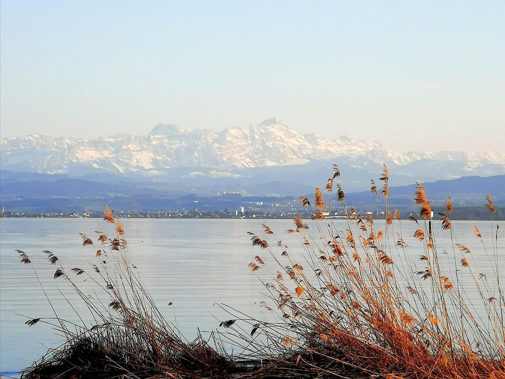 Bodensee *